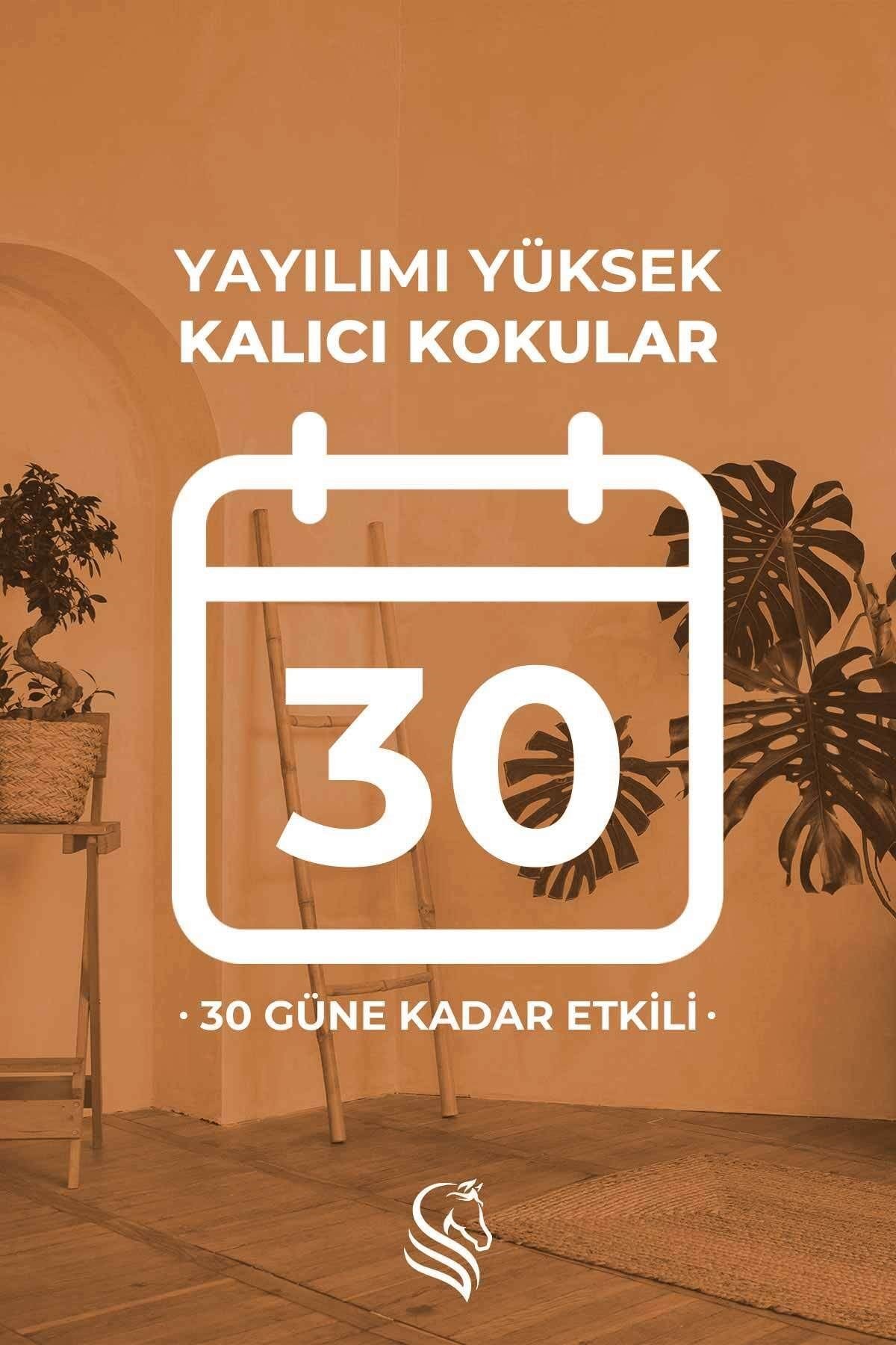 Amber Royal Oda Spreyi 400 ml