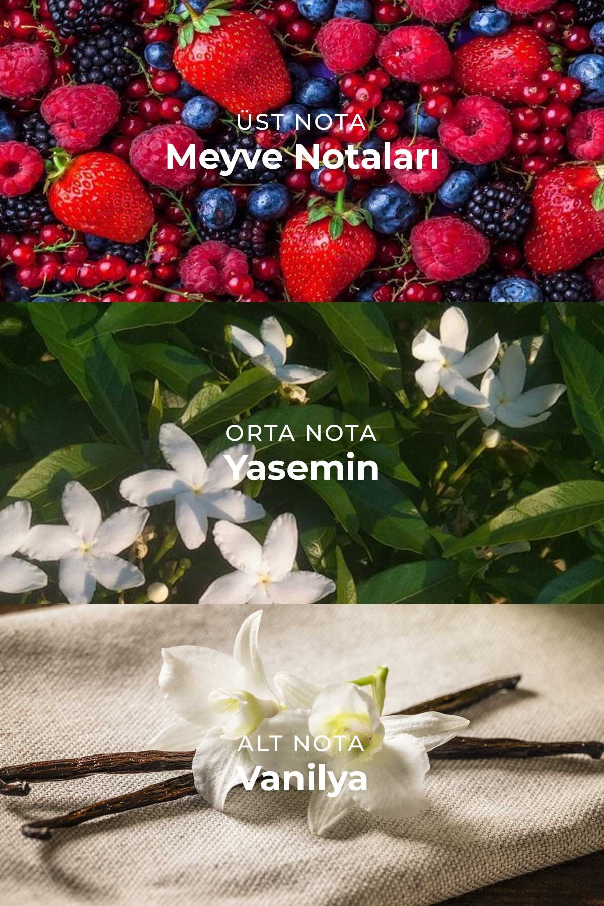 Berry Garden Parfümlü Kadın Vücut Spreyi Vücut Kokusu Vücut Misti Body Mist Spray 150ml