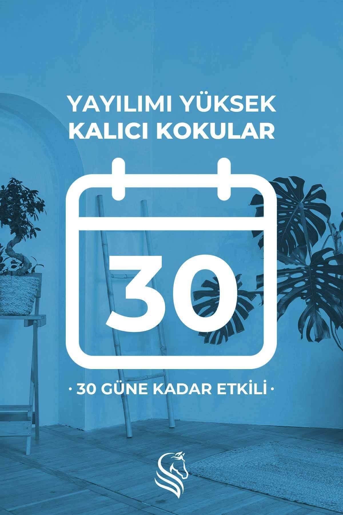 Çiçeksi Temizlik Hissi Çubuklu Oda Kokusu Clean Breeze Reed Diffuser 100ml
