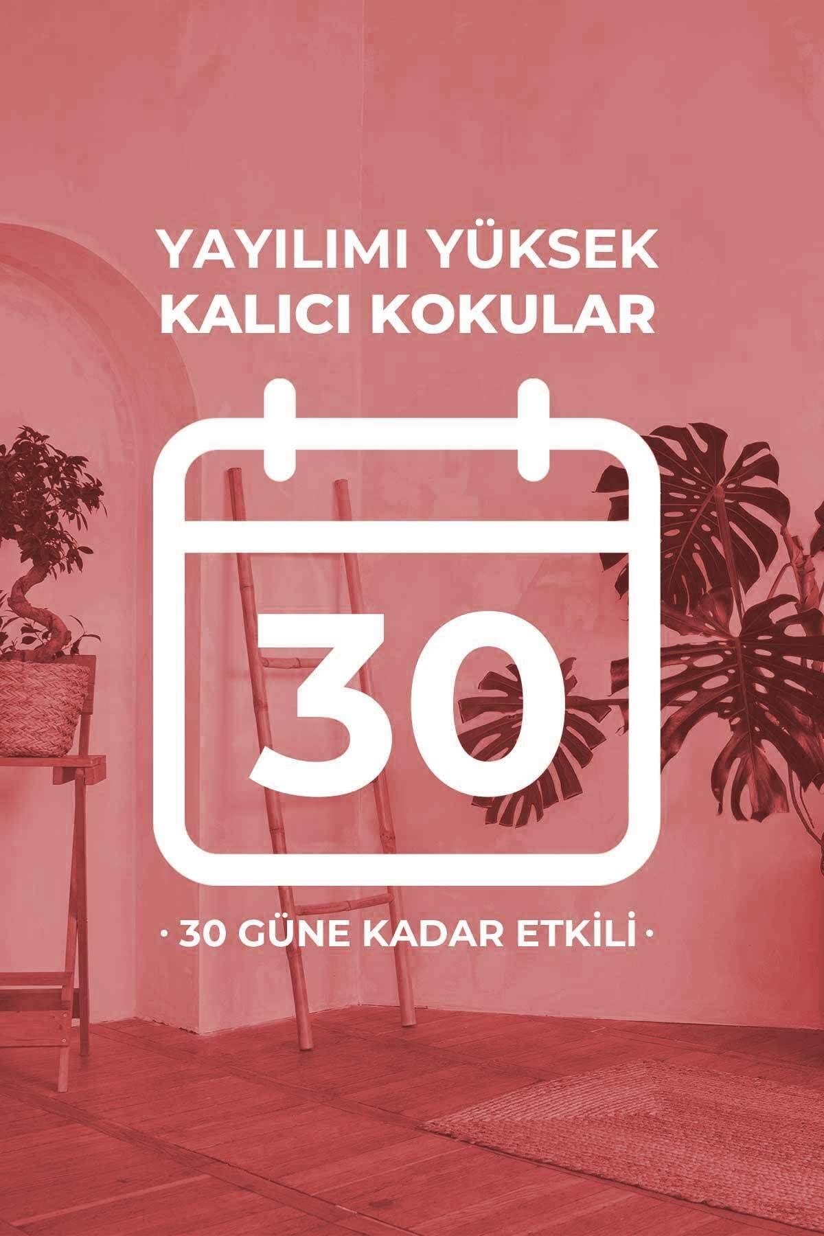 Çilek Çubuklu Oda Kokusu Strawberry Reed Diffuser 100ml