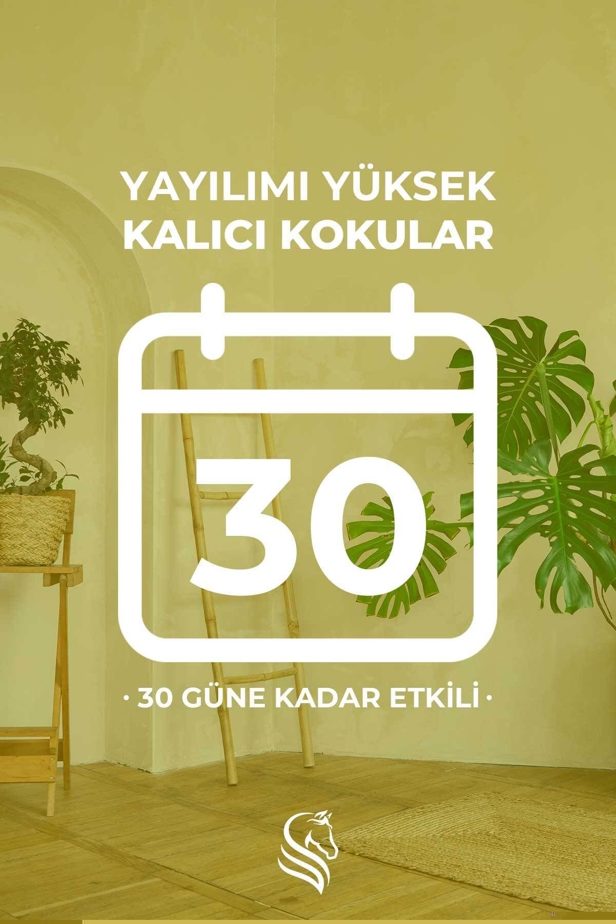 Elmalı Turta Çubuklu Oda Kokusu Apple Pie Reed Diffuser 100ml