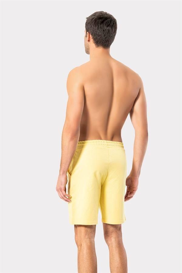 Erdem Erkek Şort 1041