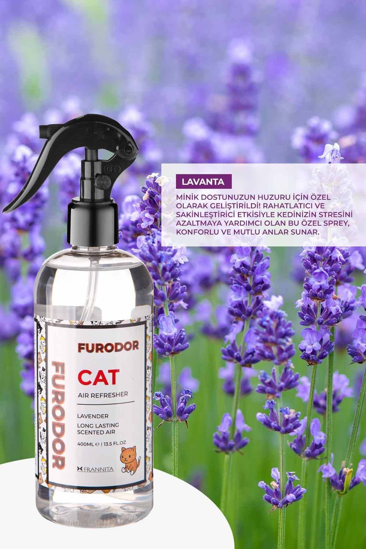 Evcil Hayvan Özel Koku Seti Kedi Lavanta 100ml Oda Kokusu ve 400ml Oda Spreyi