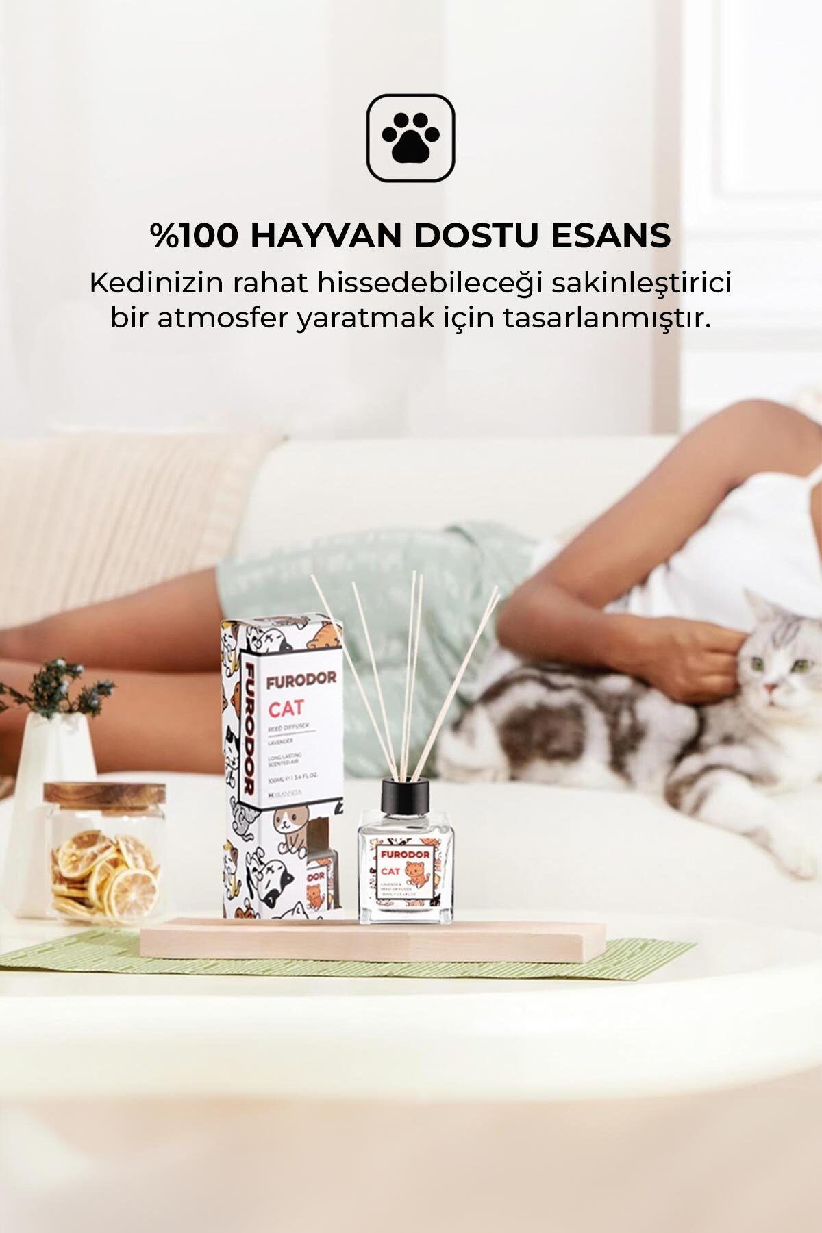 Evcil Hayvan Özel Koku Seti Kedi Lavanta 100ml Oda Kokusu ve 400ml Oda Spreyi
