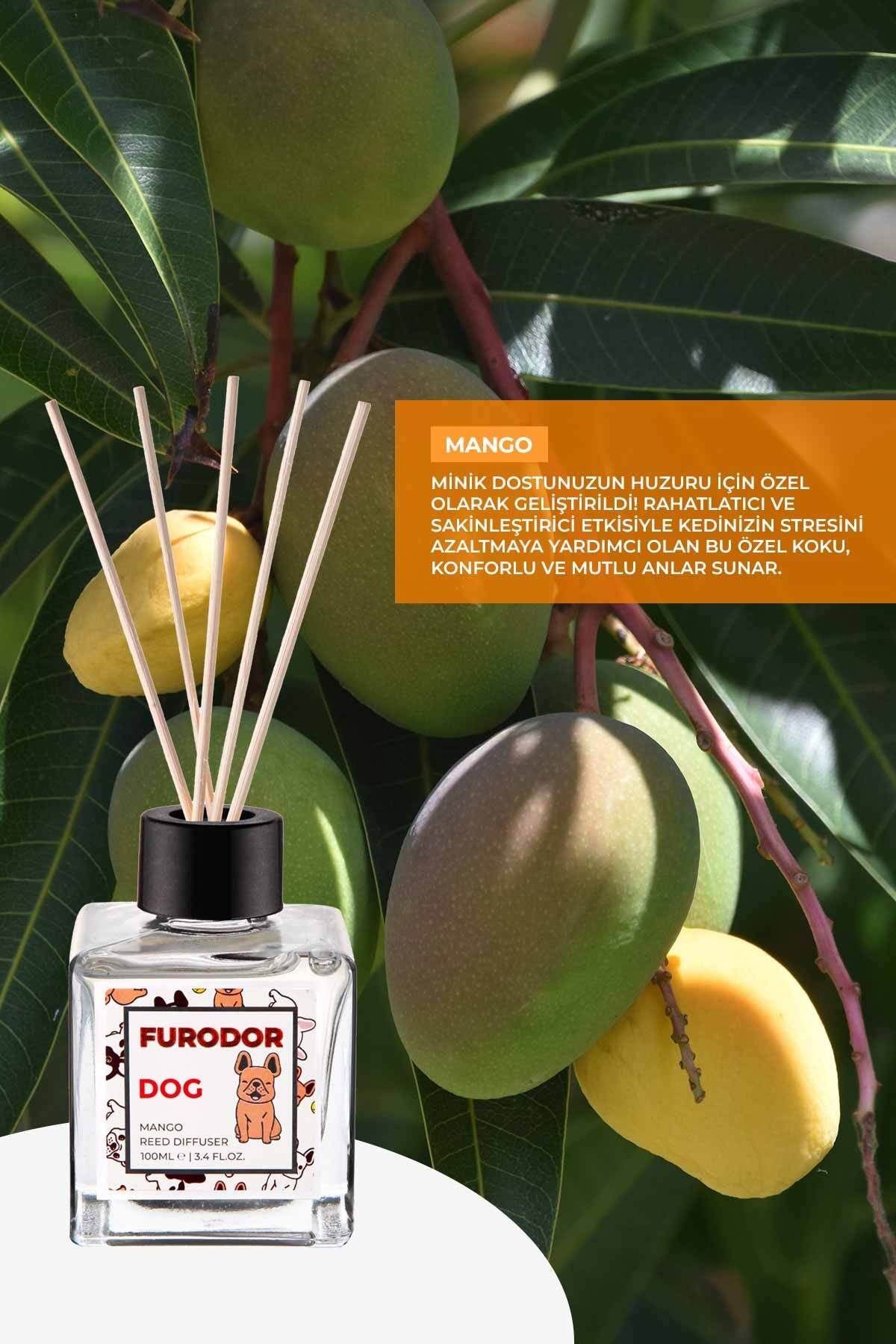 Evcil Hayvan Özel Koku Seti Köpek Mango 100ml Oda Kokusu ve 400ml Oda Spreyi