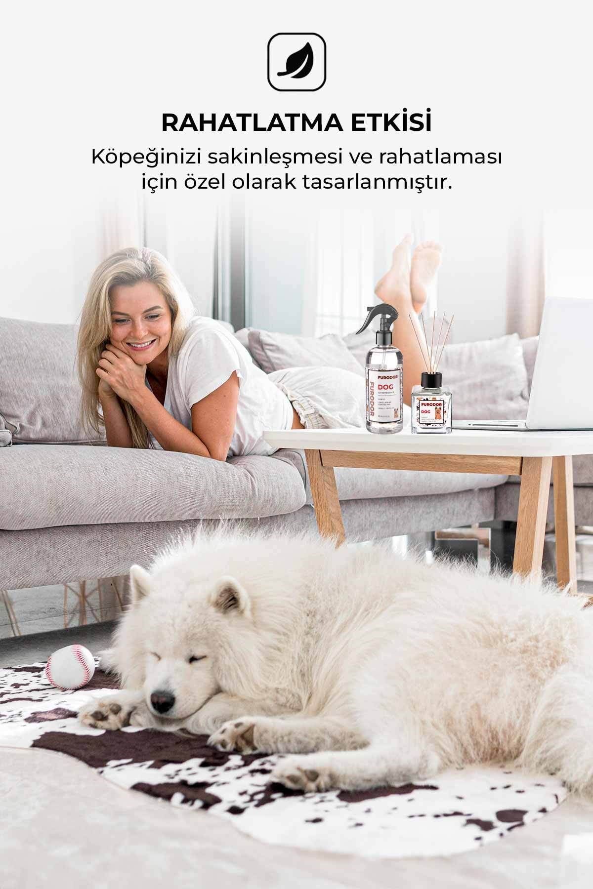 Evcil Hayvan Özel Koku Seti Köpek Mango 100ml Oda Kokusu ve 400ml Oda Spreyi