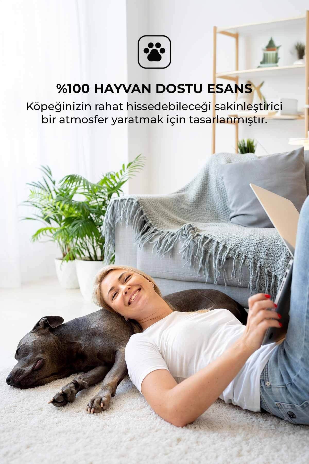 Evcil Hayvan Özel Koku Seti Köpek Mango 100ml Oda Kokusu ve 400ml Oda Spreyi