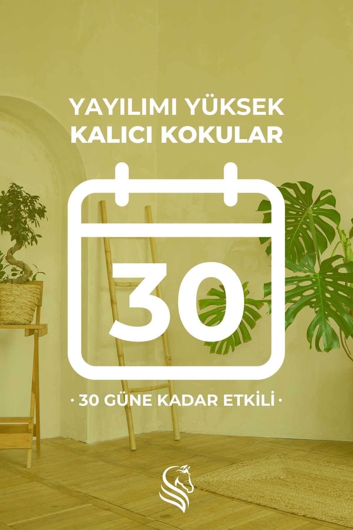 Hanımeli Çubuklu Oda Kokusu 100ml