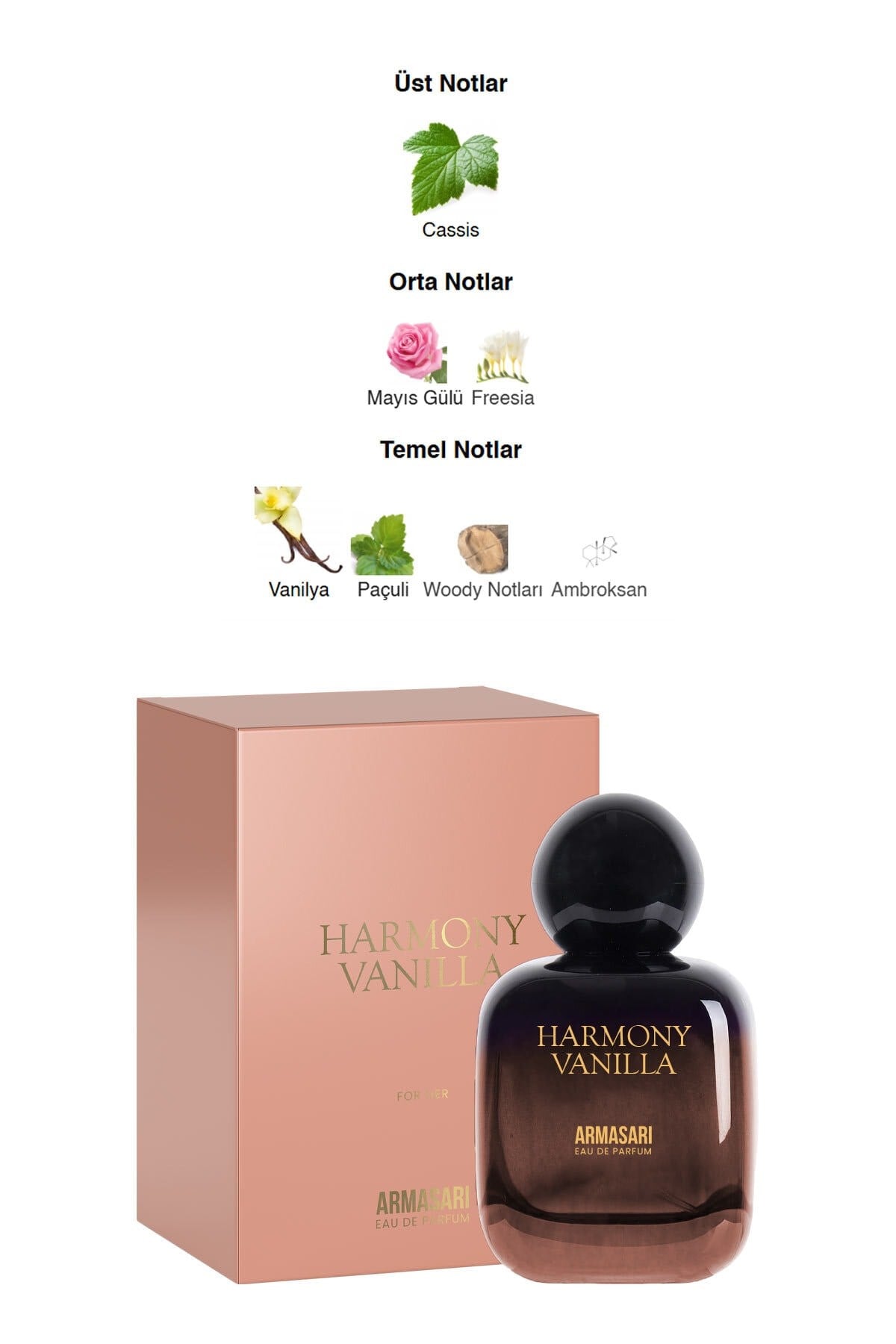Harmony Vanilla Edp Kalıcı Kadın Parfüm 100ml | Meyveli | Cassis, Gül, Paçuli, Vanilya