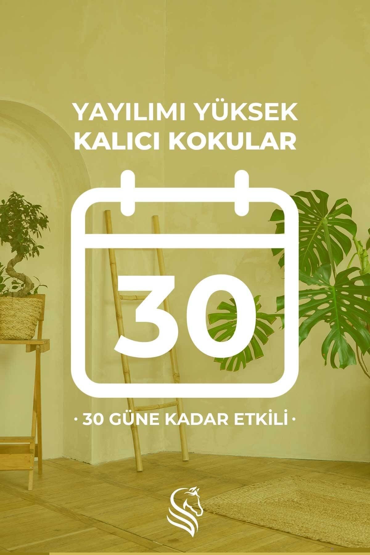 Kavun Çubuklu Oda Kokusu Melon Reed Diffuser 100ml