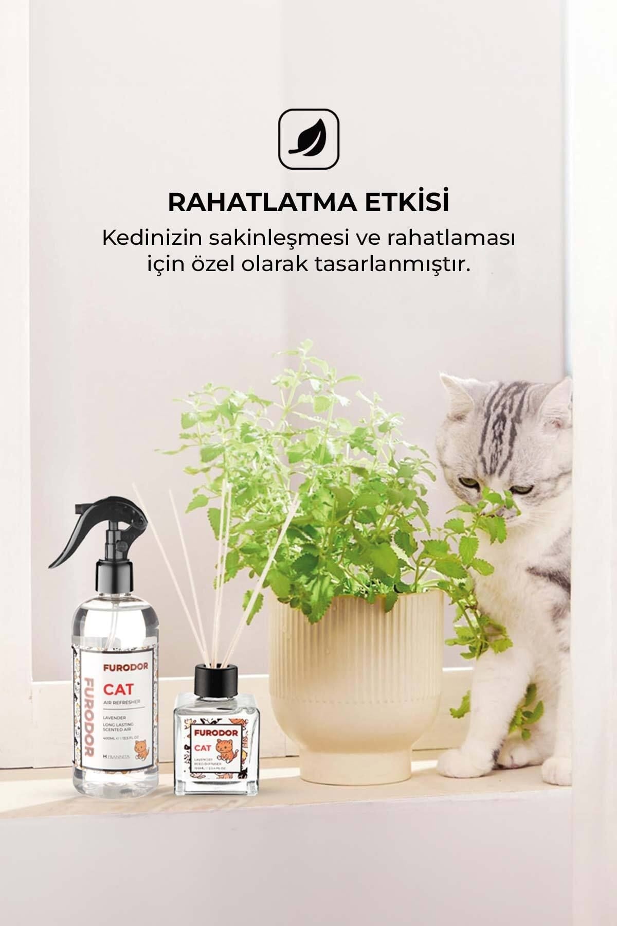 Kediler için Özel Lavanta Oda Kokusu Cat Lavender Air Refresher 400ml