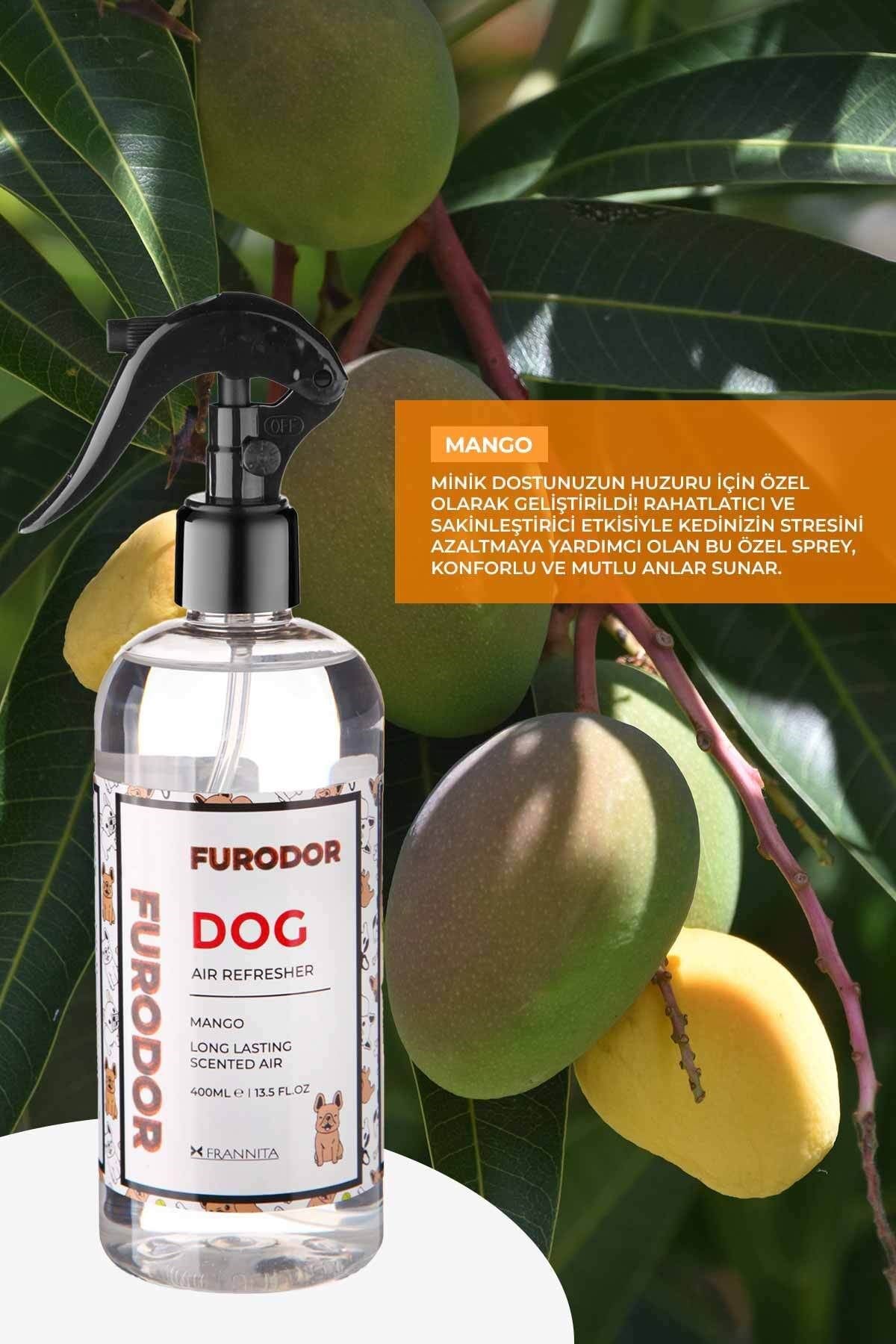 Köpekler için Özel Mango Oda Kokusu Dog Mango Air Refresher 400ml