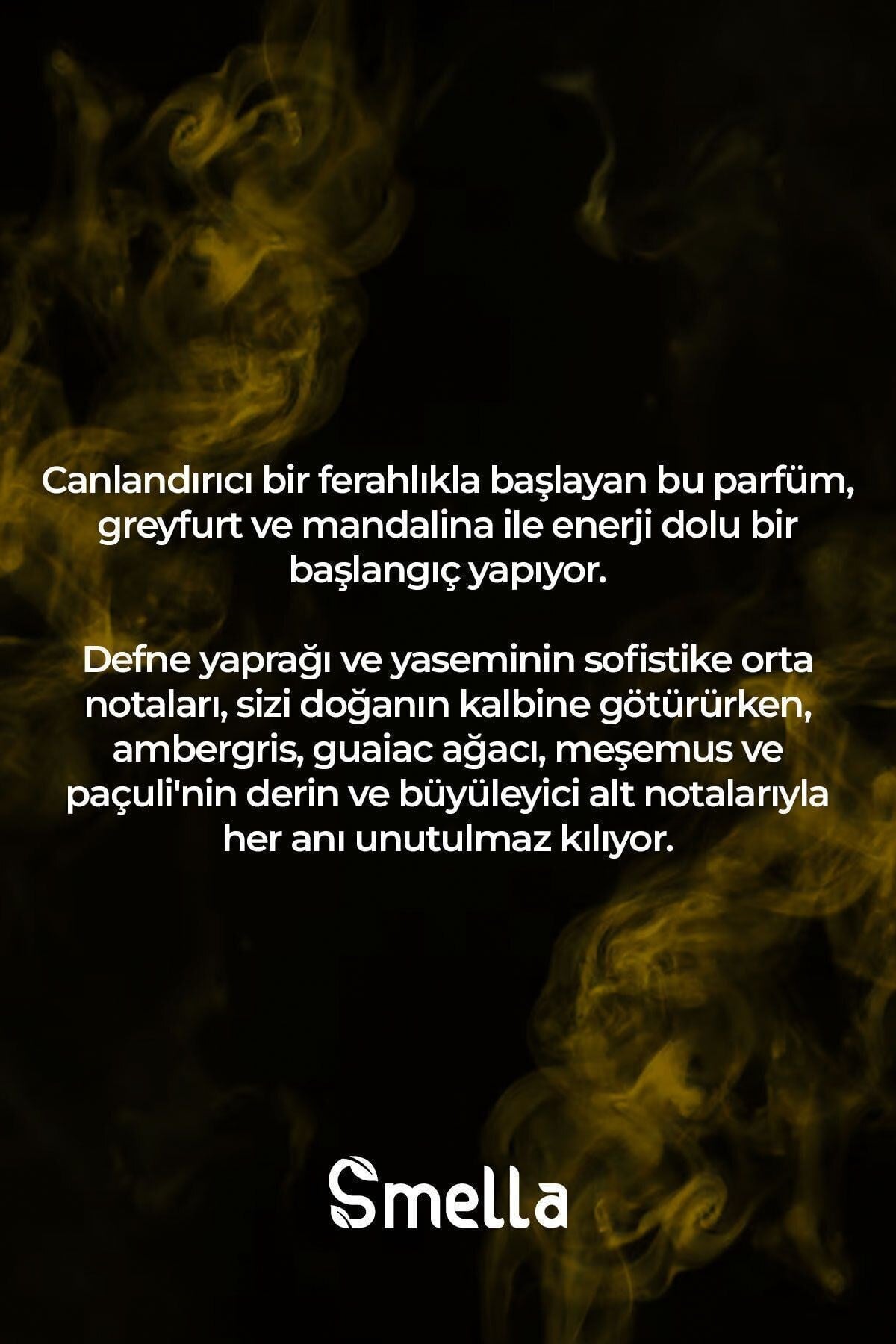 London Fresh Özel Seri Uzun Süre Kalıcı 100 ml Erkek Parfüm