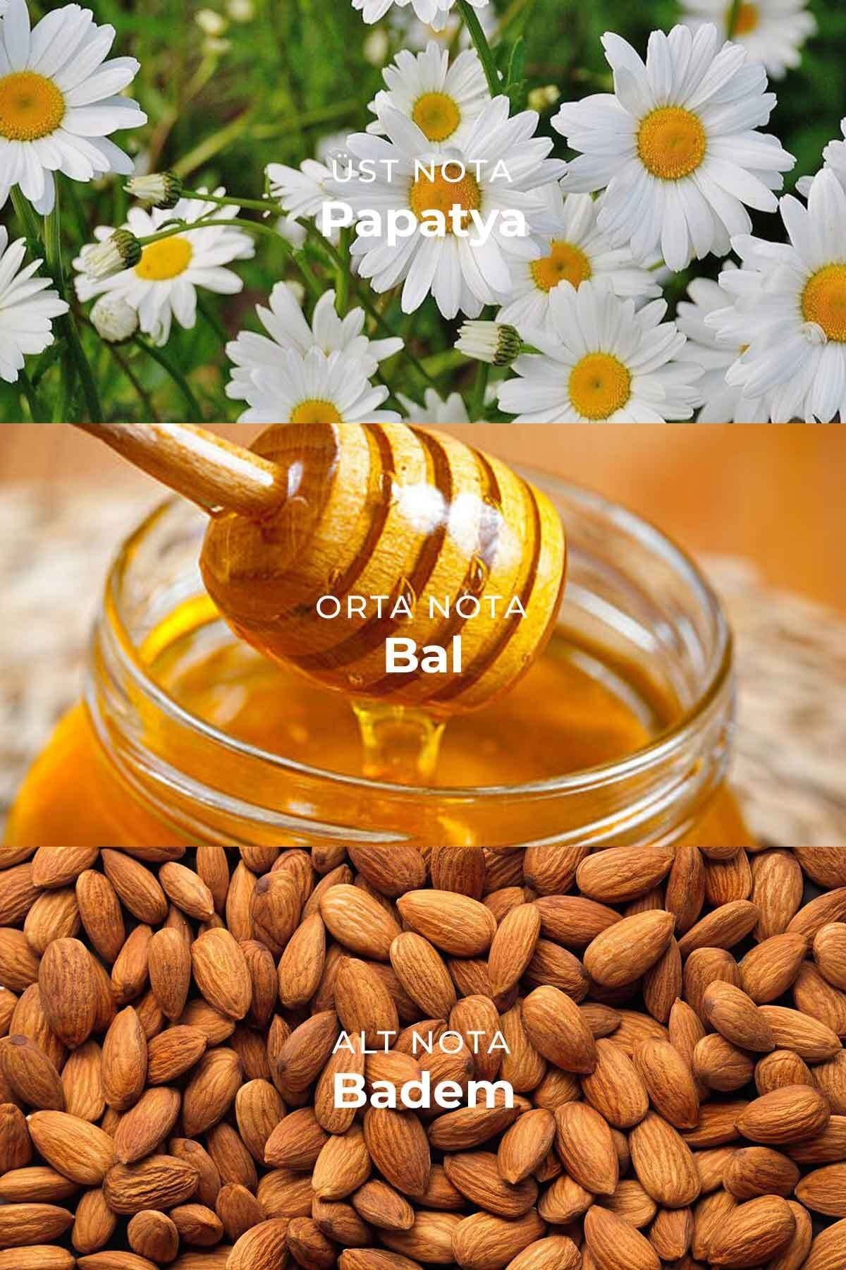 M017 Erkek Parfüm EDP 50ml | Tatlı & Oryantal | Papatya, Bal, Ahşap Notalar, Amber, Vanilya, Labdanum