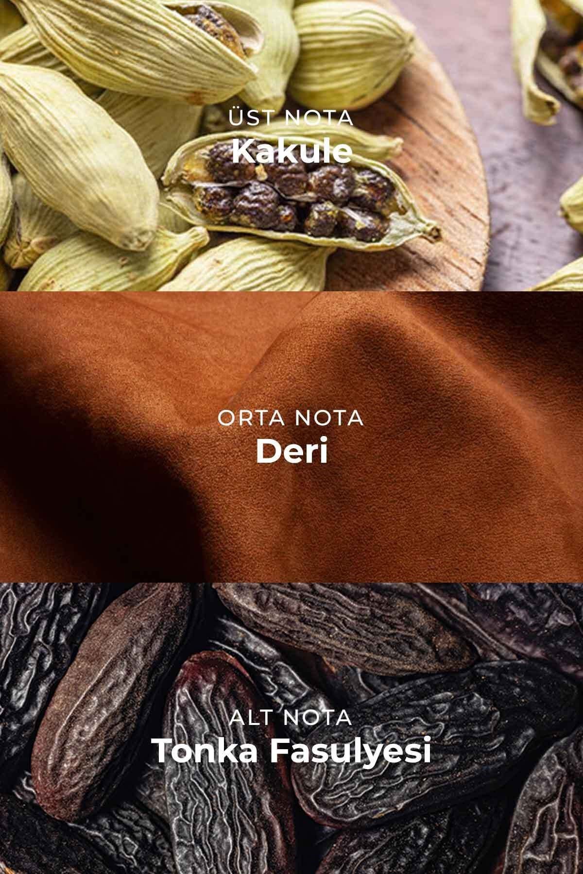 M024 Erkek Parfüm EDP 50ml | Baharatlı & Deri | Kakule, Greyfurt, Lavanta, Adaçayı, Tonka, Sandal Ağacı