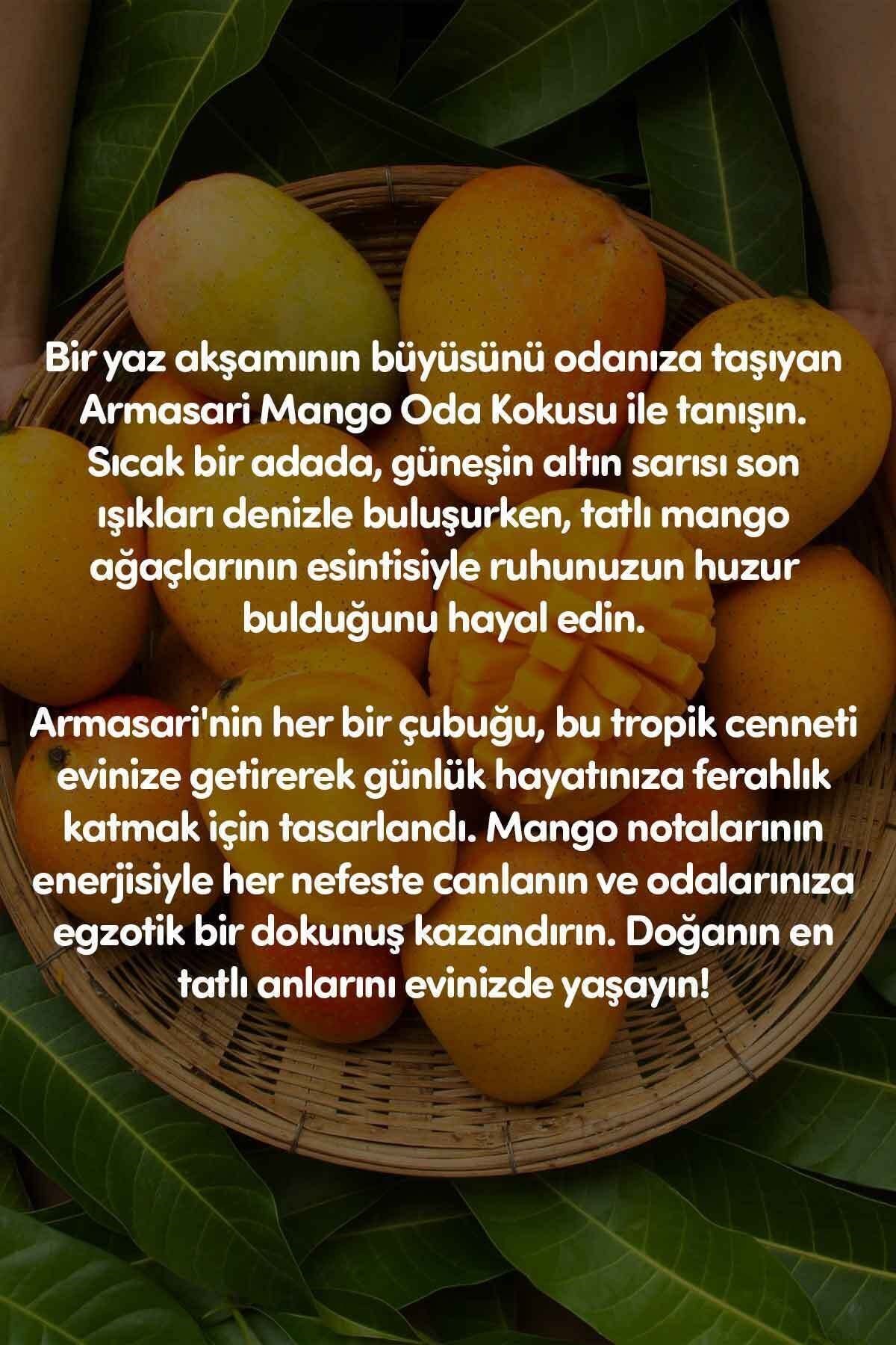 Mango Çubuklu Oda Kokusu Reed Diffuser 100ml