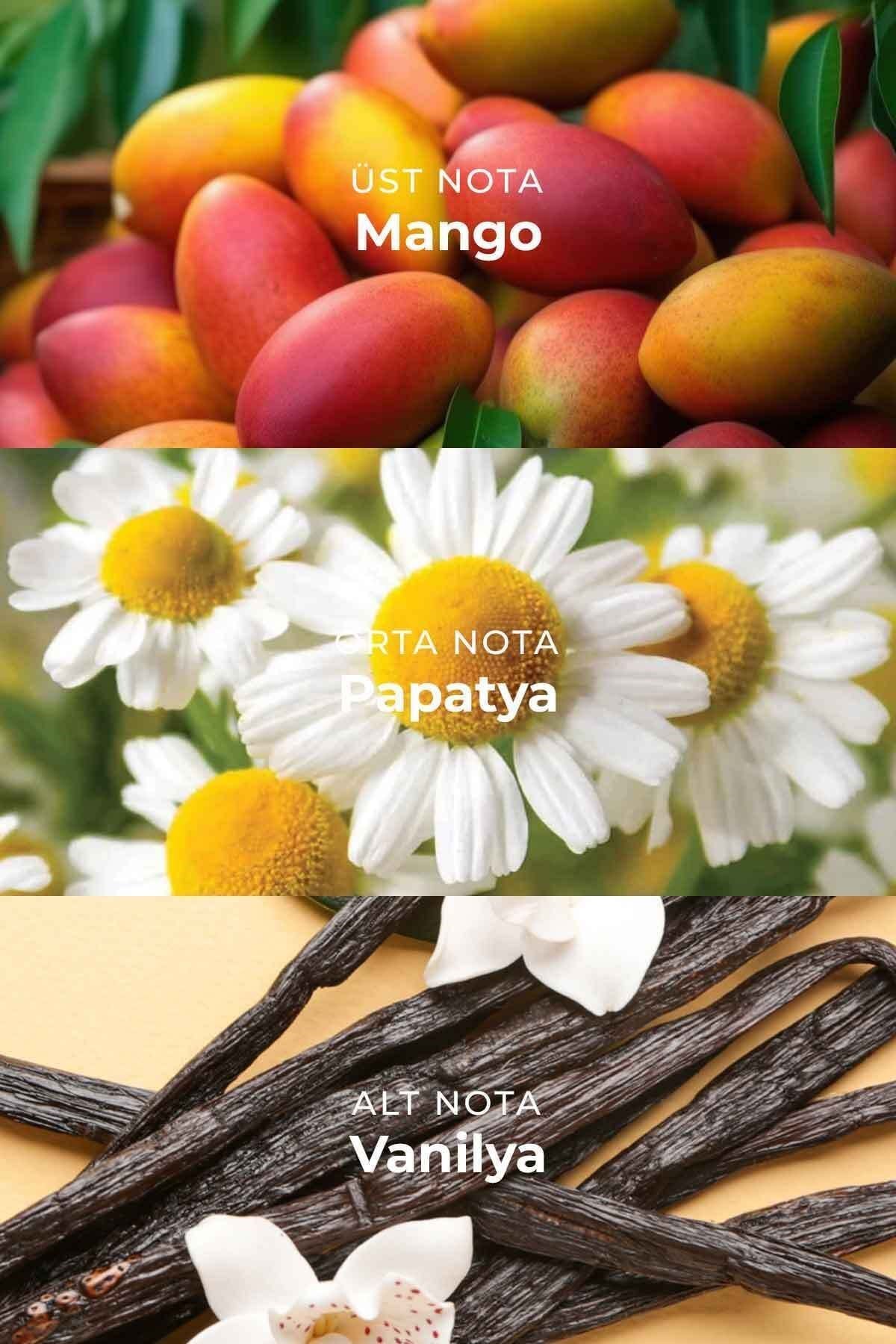 Mango Çubuklu Oda Kokusu Reed Diffuser 100ml
