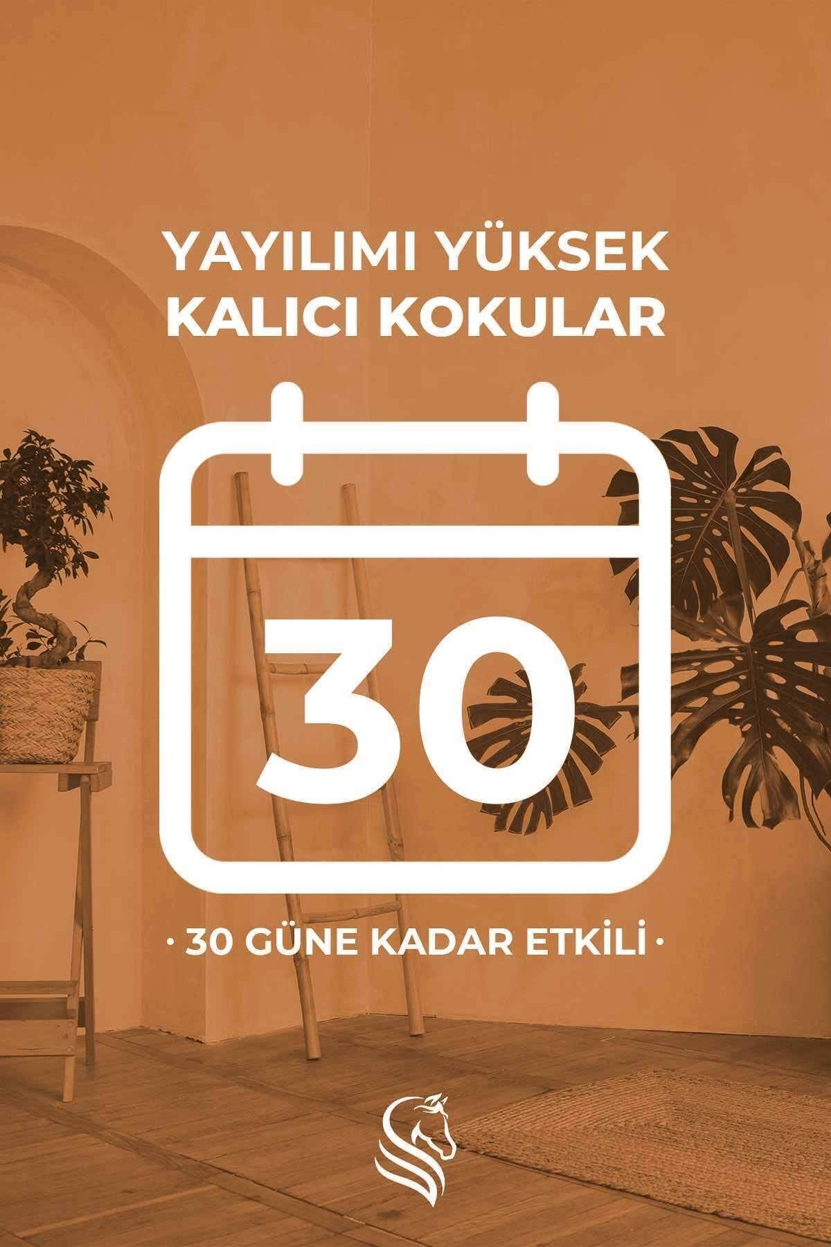 Mango Çubuklu Oda Kokusu Reed Diffuser 100ml