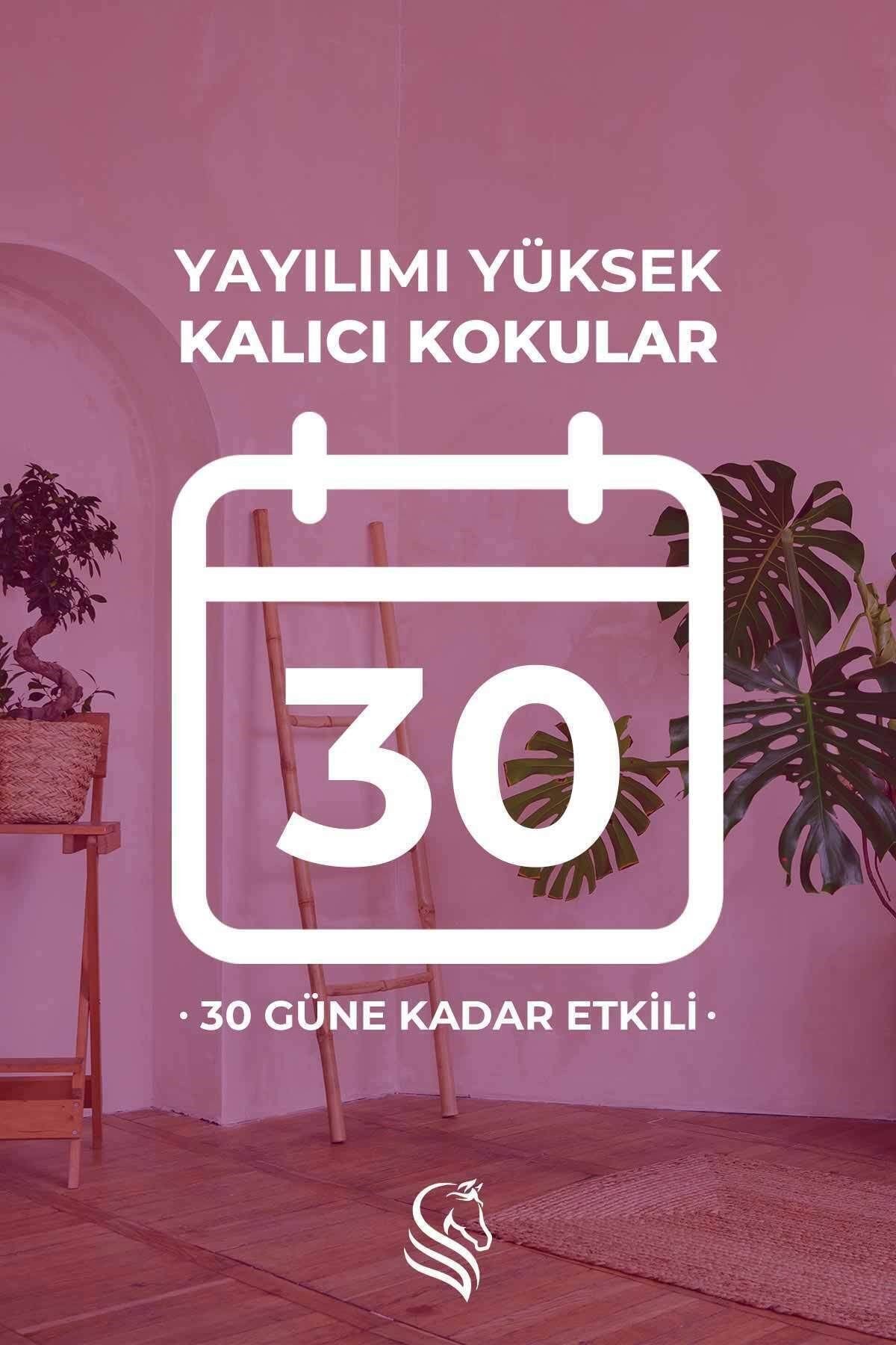 Manolya Kiraz Çubuklu Oda Kokusu Magnolia Cherry Reed Diffuser 100ml