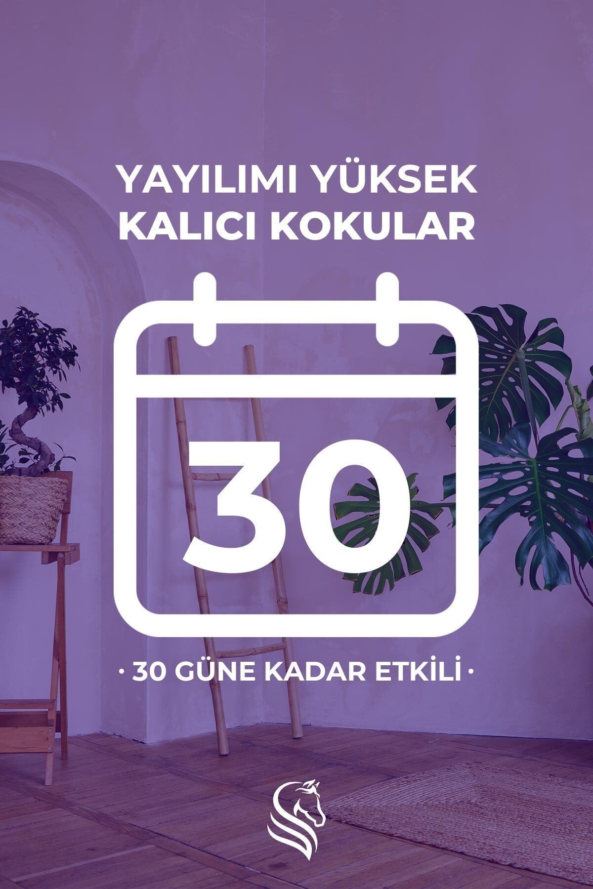 Meyve Kokteyli Çubuklu Oda Kokusu Frutti Can Reed Diffuser 100ml