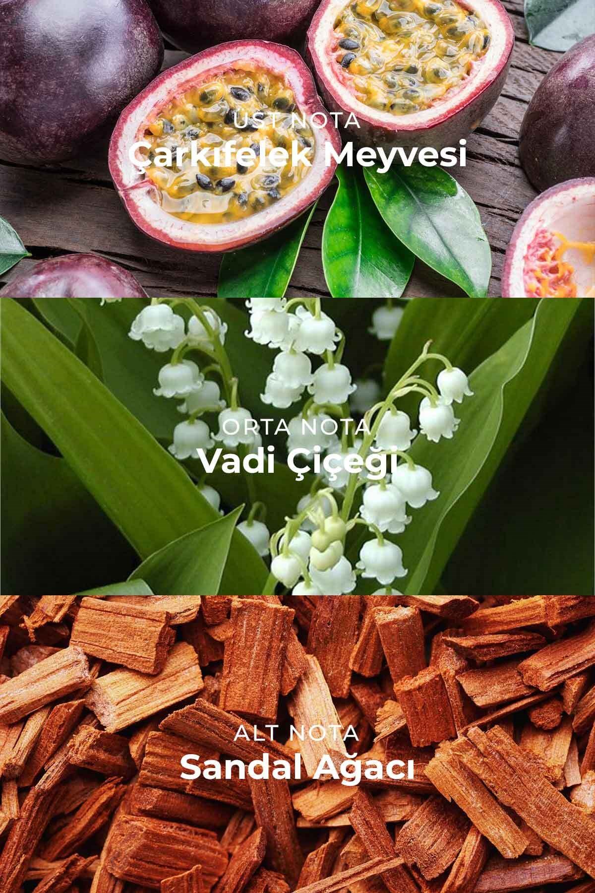 Nova Kirkia Edp Kalıcı Erkek Parfüm 100ml | Meyveli ve Çiçeksi | Armut, Frenk Üzümü, Misk, Sandal