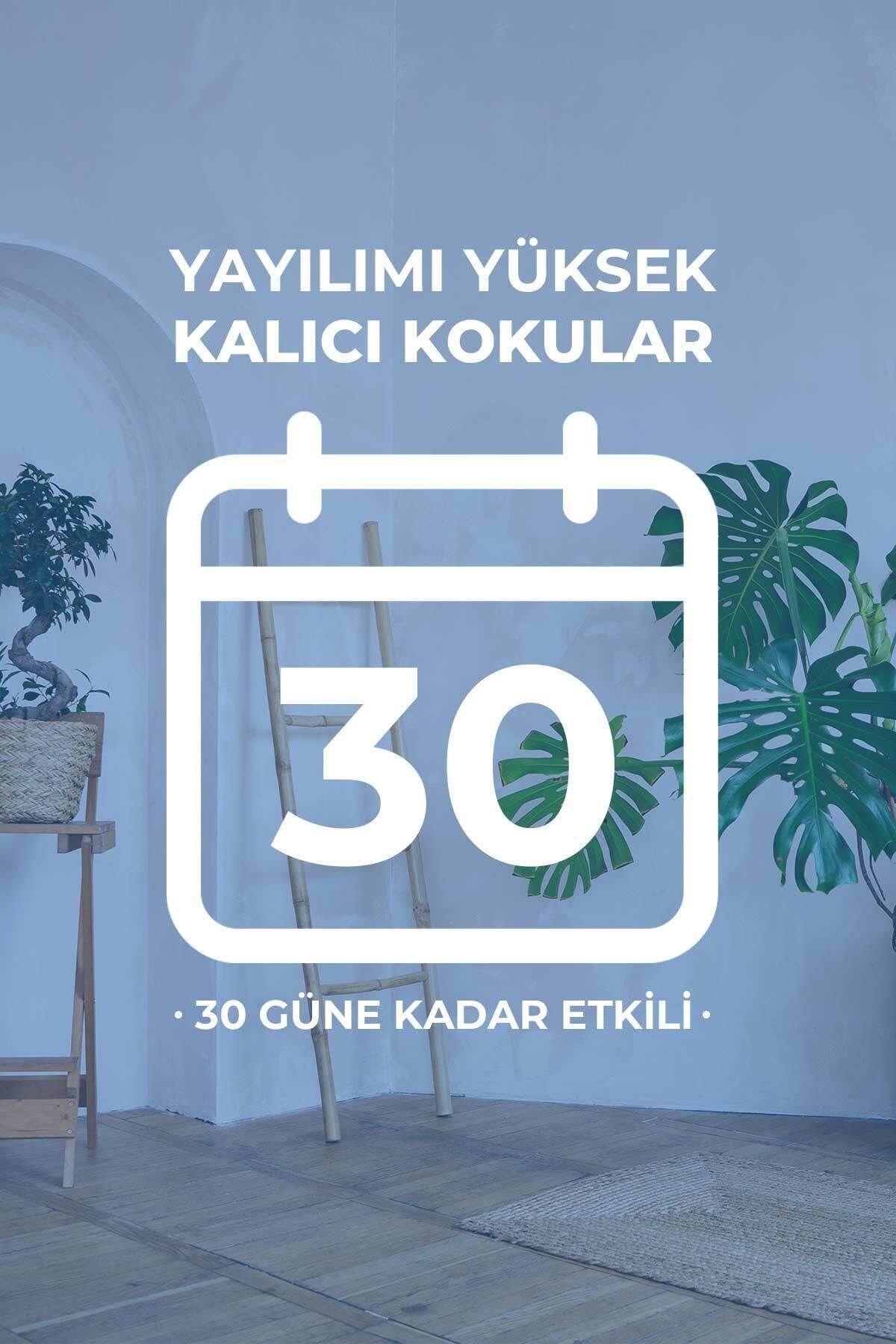 Okyanus Kokusu Çubuklu Oda Kokusu Ocean Reed Diffuser 100ml