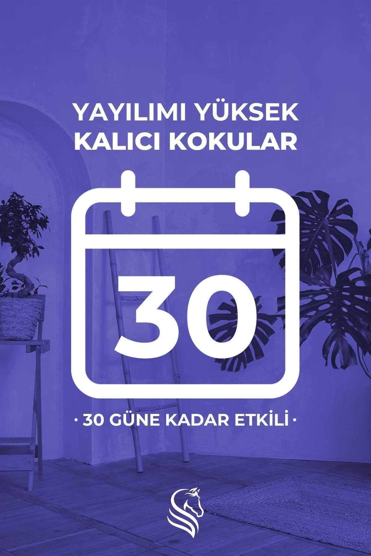 Özel Gün Hediye Kutulu Sümbül Çubuklu Oda Kokusu Hyacinth Reed Diffuser 100ml