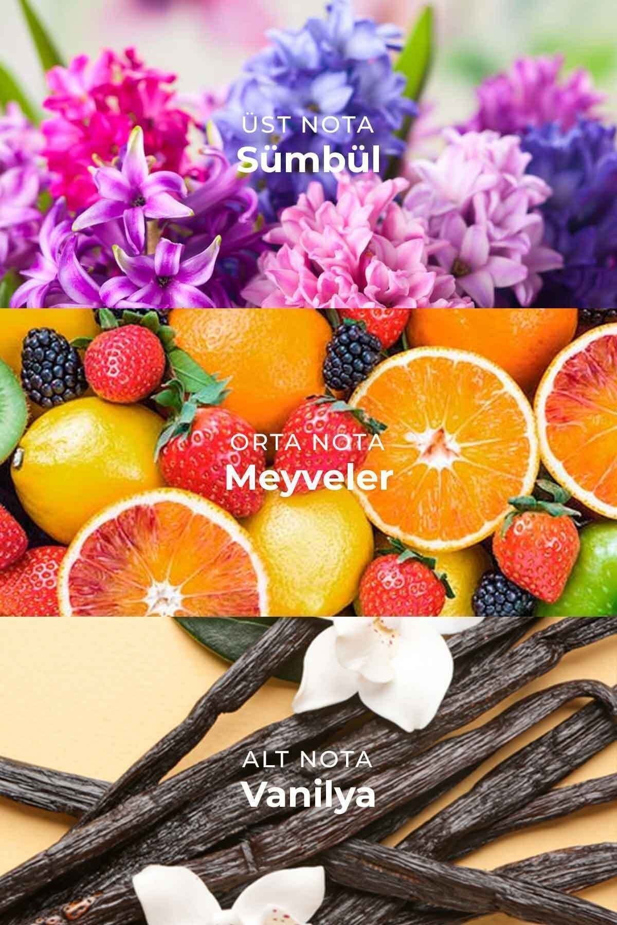 Özel Gün Hediye Kutulu Sümbül Çubuklu Oda Kokusu Hyacinth Reed Diffuser 100ml