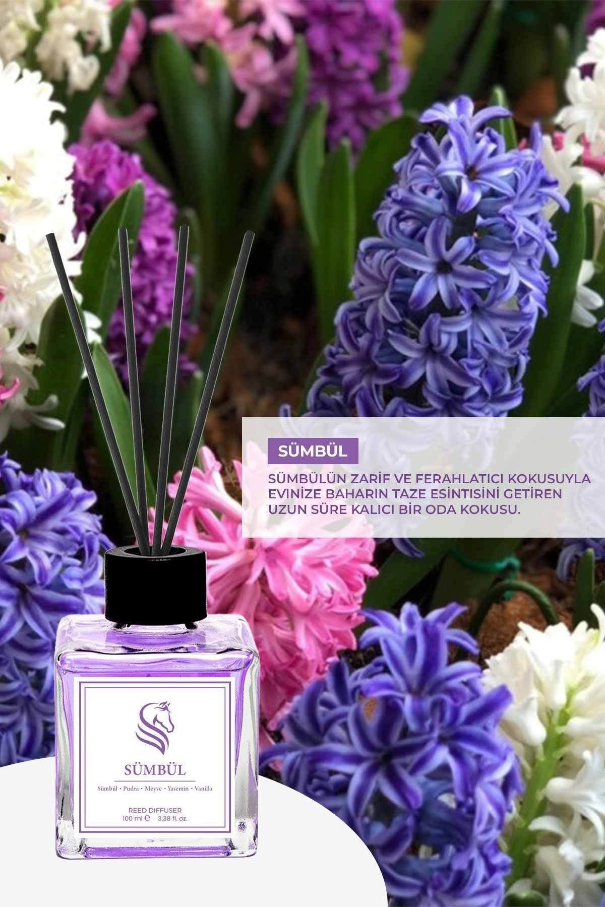 Özel Gün Hediye Kutulu Sümbül Çubuklu Oda Kokusu Hyacinth Reed Diffuser 100ml