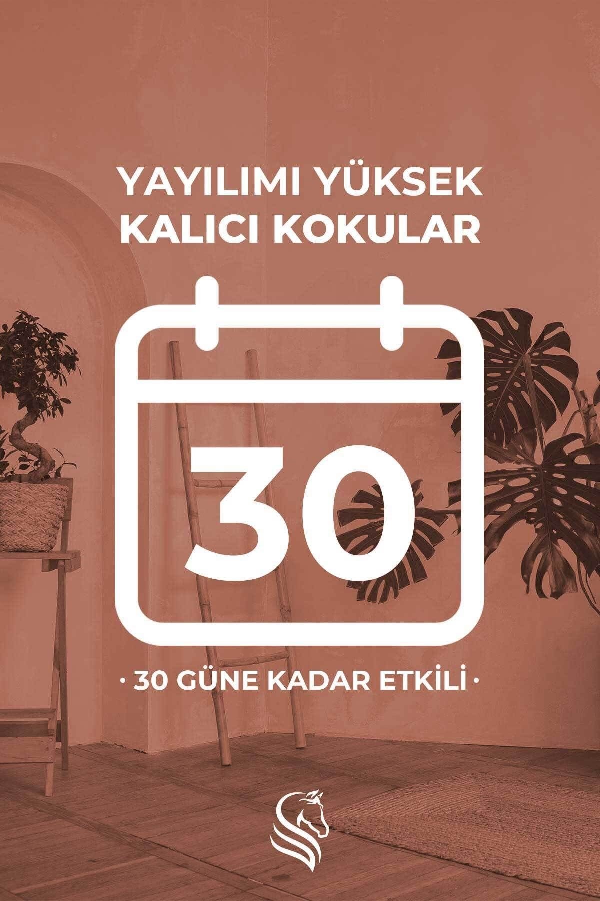 Sandal Ağacı Parfümlü Oda Ve Çamaşır Spreyi Ortam Ve Kumaş Kokusu Sandal Forest Room Spray 400ml
