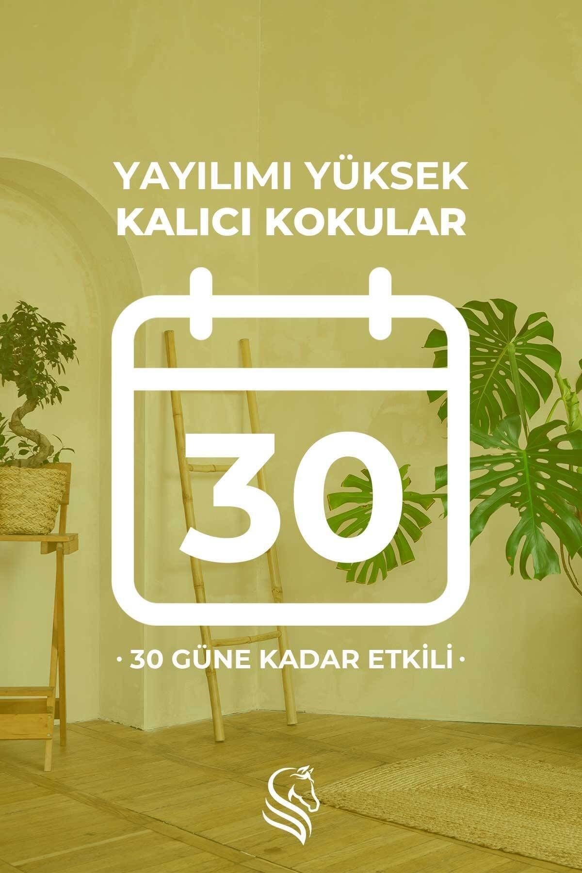 Şeftali Kokusu Çubuklu Oda Kokusu Peach Reed Diffuser 100ml
