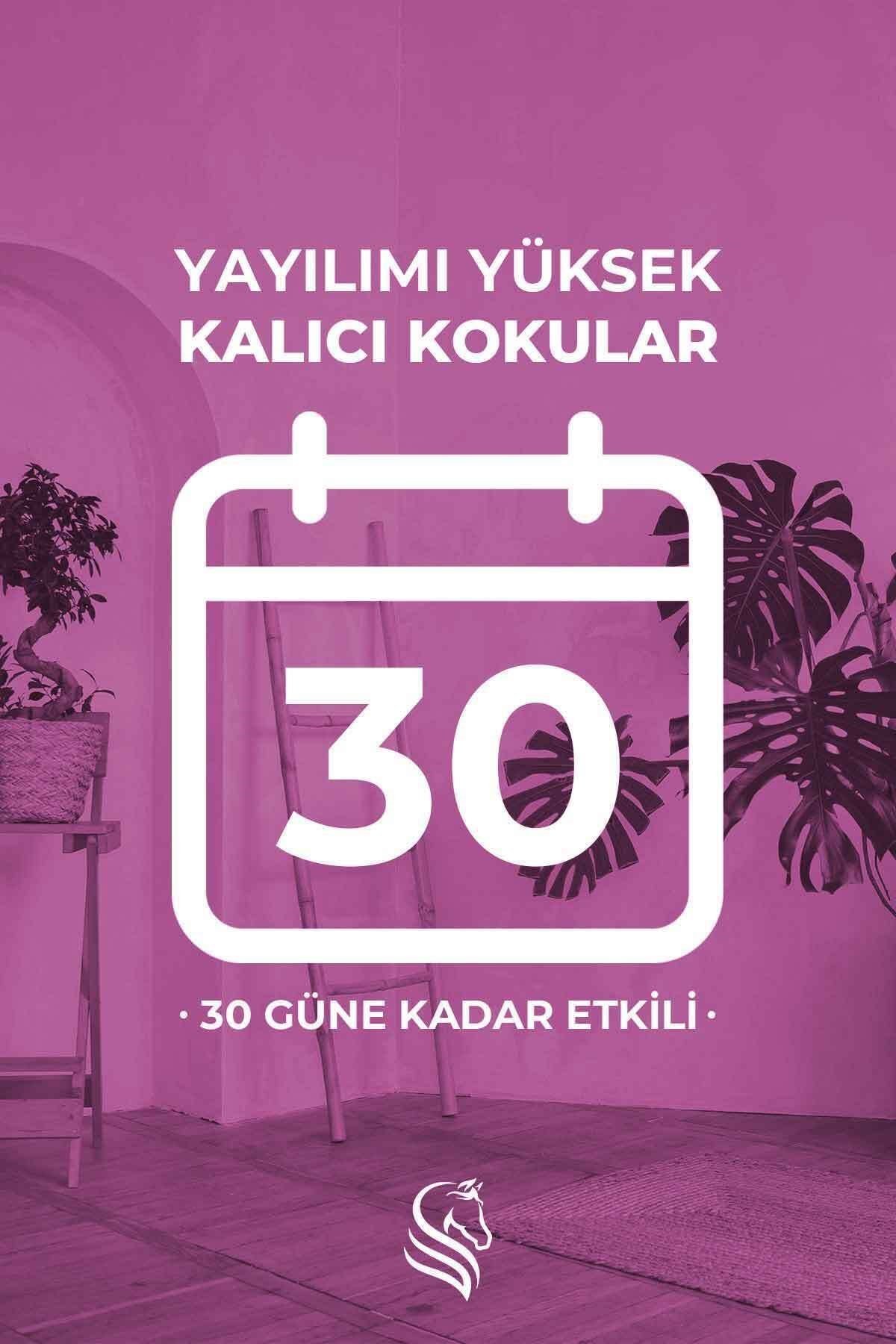Spring Fresh Parfümlü Oda Ve Çamaşır Spreyi Ortam Ve Kumaş Kokusu 400ml