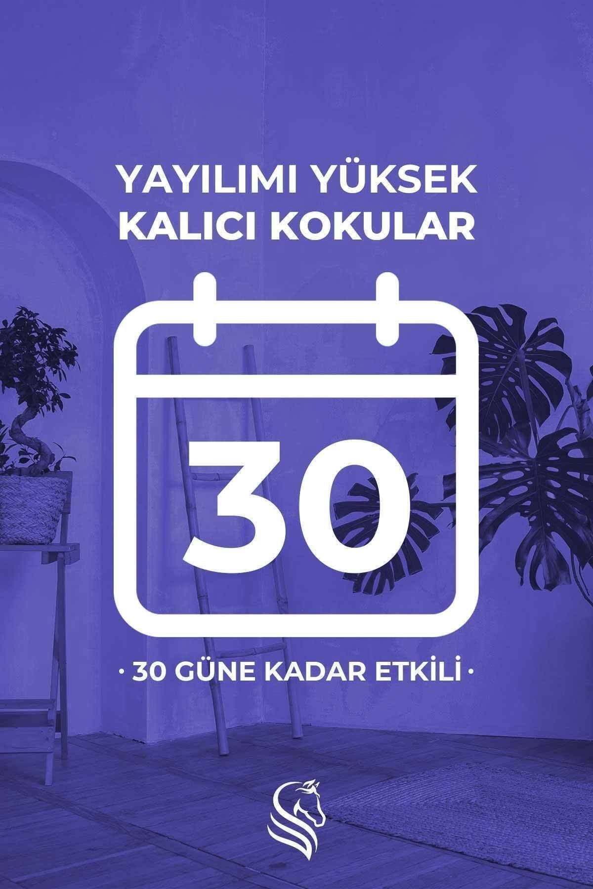 Sümbül Çubuklu Oda Kokusu Hyacinth Reed Diffuser 100ml