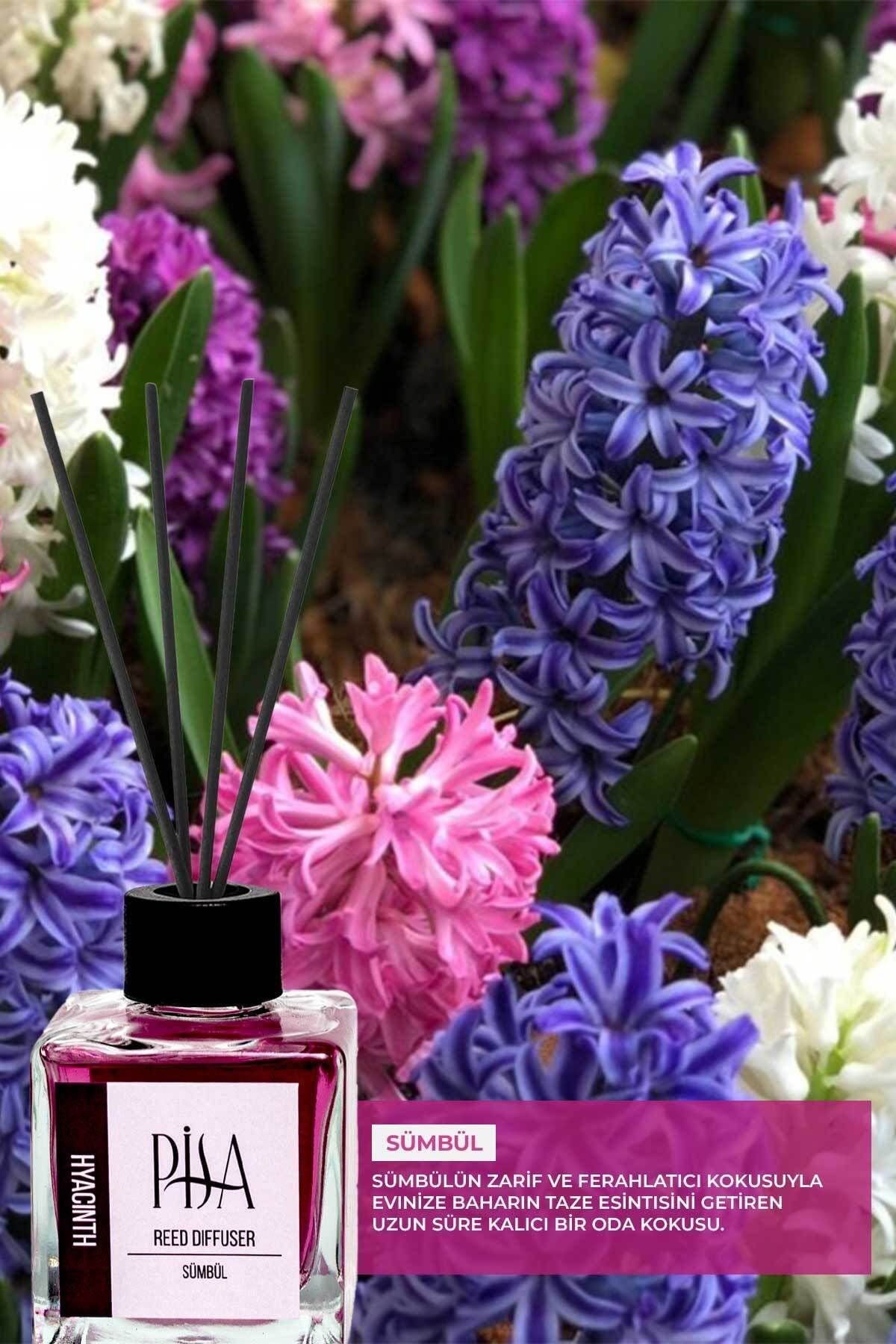 Sümbül Çubuklu Oda Kokusu Hyacinth Reed Diffuser 100ml