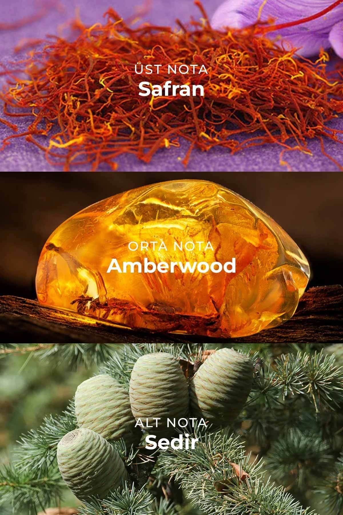 U006 Unisex Parfüm EDP 50ml | Amber & Tatlı | Safran, Yasemin, Amberwood, Ambergris, Sedir, Şeker