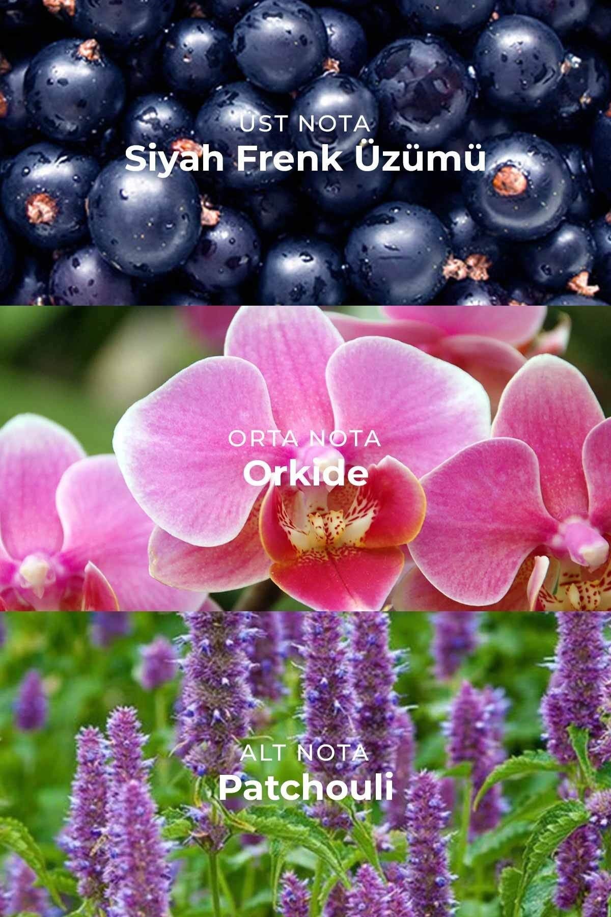 U007 Unisex Parfüm EDP 50ml | Oryantal & Yoğun | Siyah Trüf, Ylang Ylang, Yasemin, Çikolata, Vanilya, Paçuli