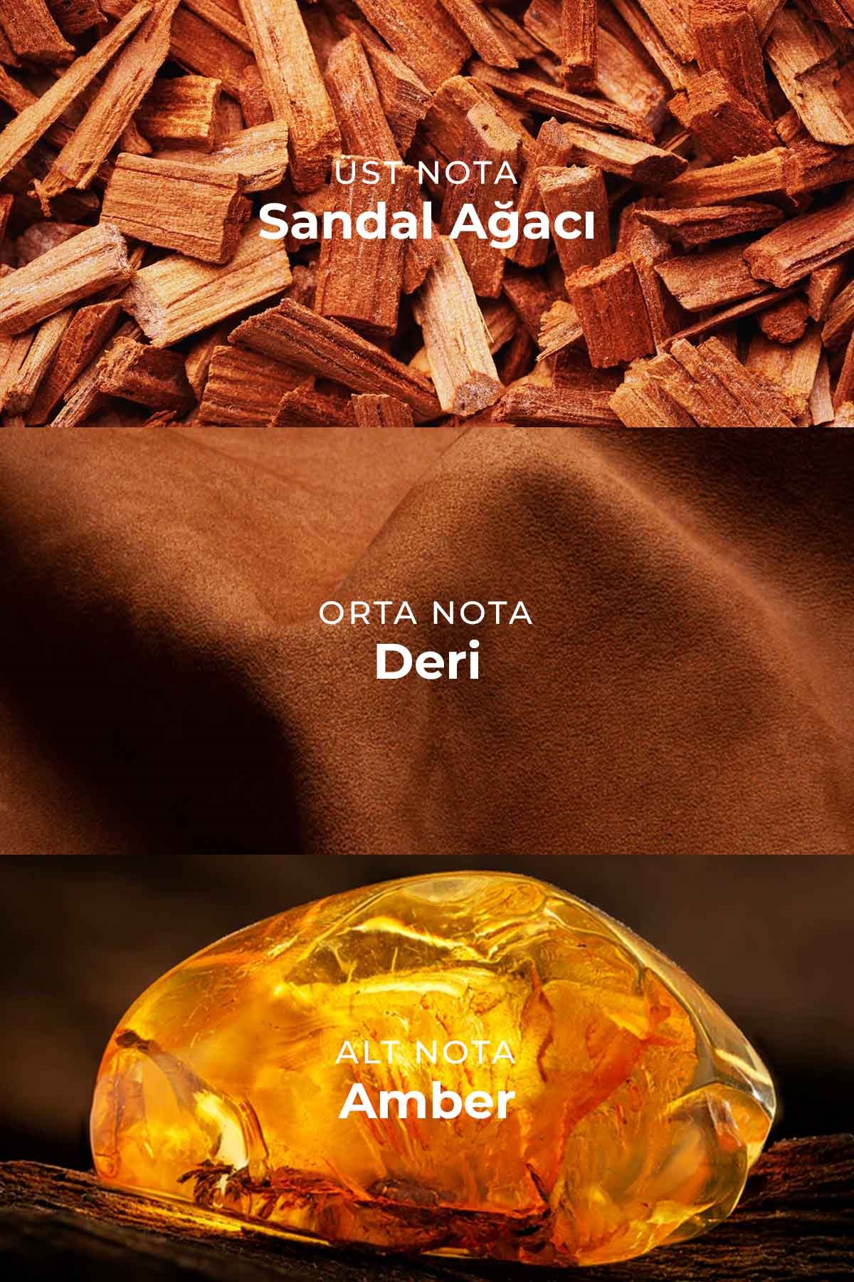 U020 Unisex Parfüm EDP 50ml | Odunsu & Deri | Sandal Ağacı, Deri, Kakule, Menekşe, Amber