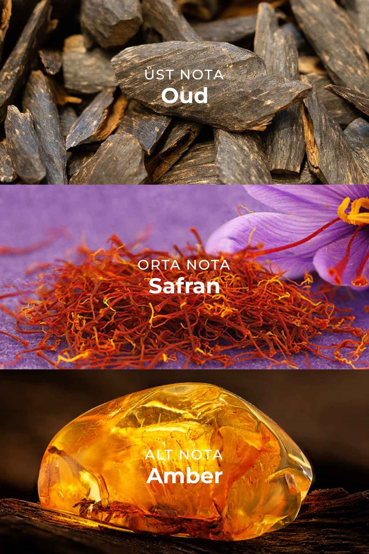 U021 Unisex Parfüm EDP 50ml | Oud & Dumanlı | Oud, Tütsü, Gül, Safran, Amberwood
