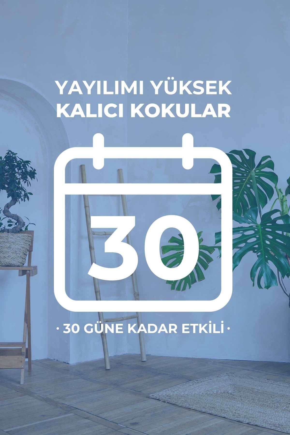Vanilya Çubuklu Oda Kokusu Vanilla Reed Diffuser 100ml