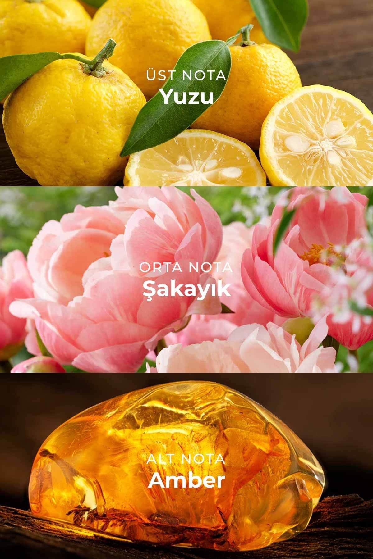 W009 Kadın Parfüm EDP 50ml | Ferah & Çiçeksi | Nar, Yuzu, Şakayık, Lotus, Manolya, Misk, Amber