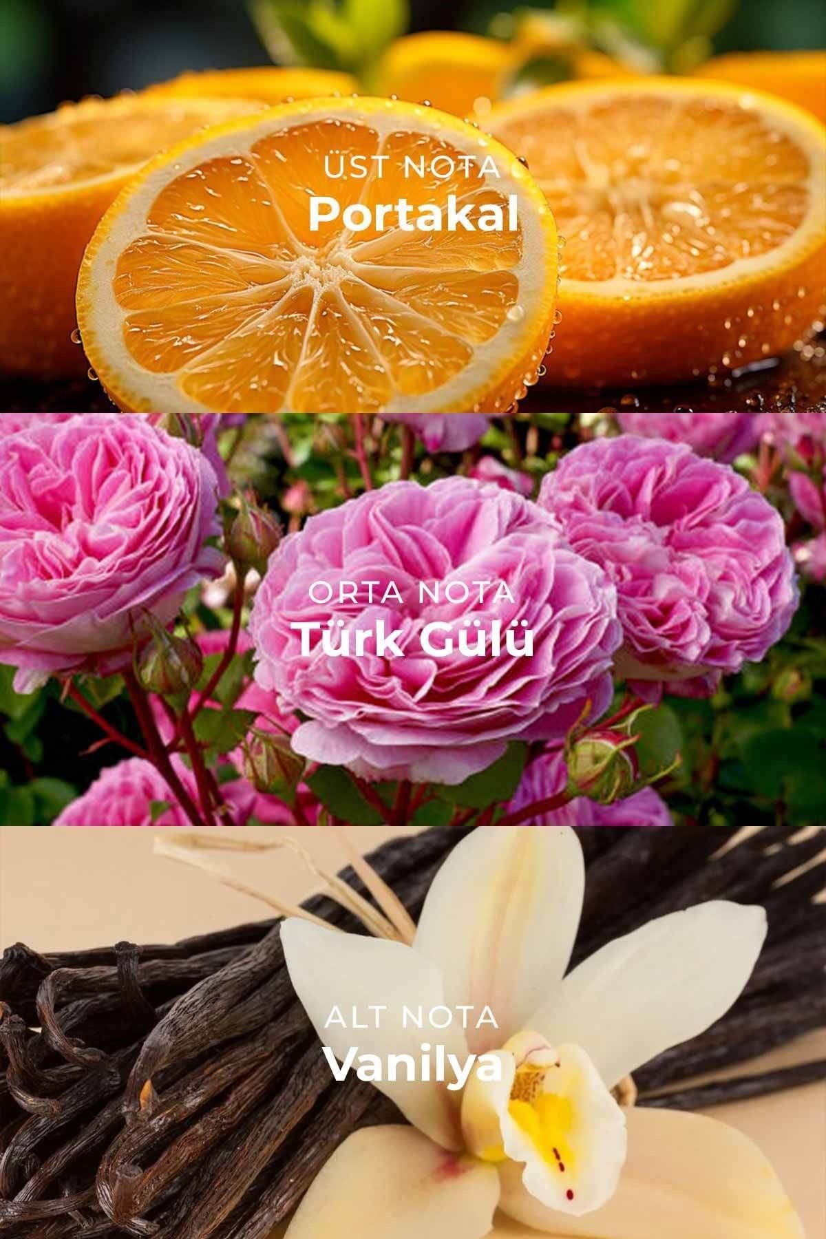 W013 Kadın Parfüm EDP 50ml | Ferah & Şık | Portakal, Bergamot, Türk Gülü, Yasemin, Vanilya, Beyaz Misk, Paçuli