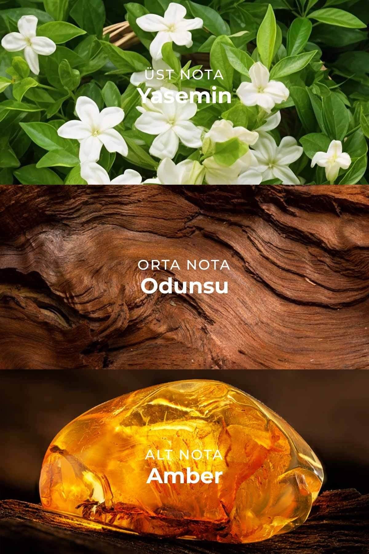 W014 Kadın Parfüm EDP 50ml | Amber & Çiçeksi | Yasemin, Amber, Odunsu Notalar