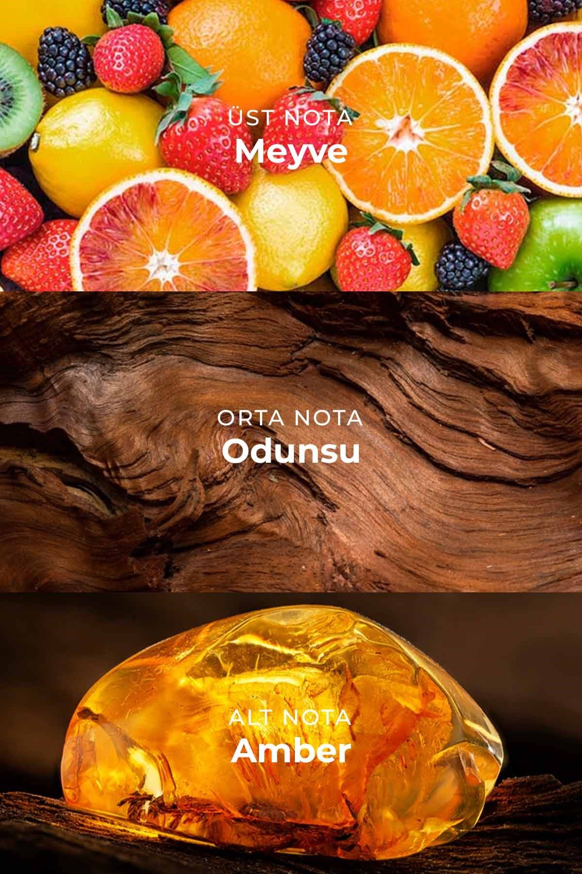 W016 Kadın Parfüm EDP 50ml | Vanilyalı & Amber | Meyvemsi Notalar, Çiçeksi Notalar, Amber, Odunsu Notalar