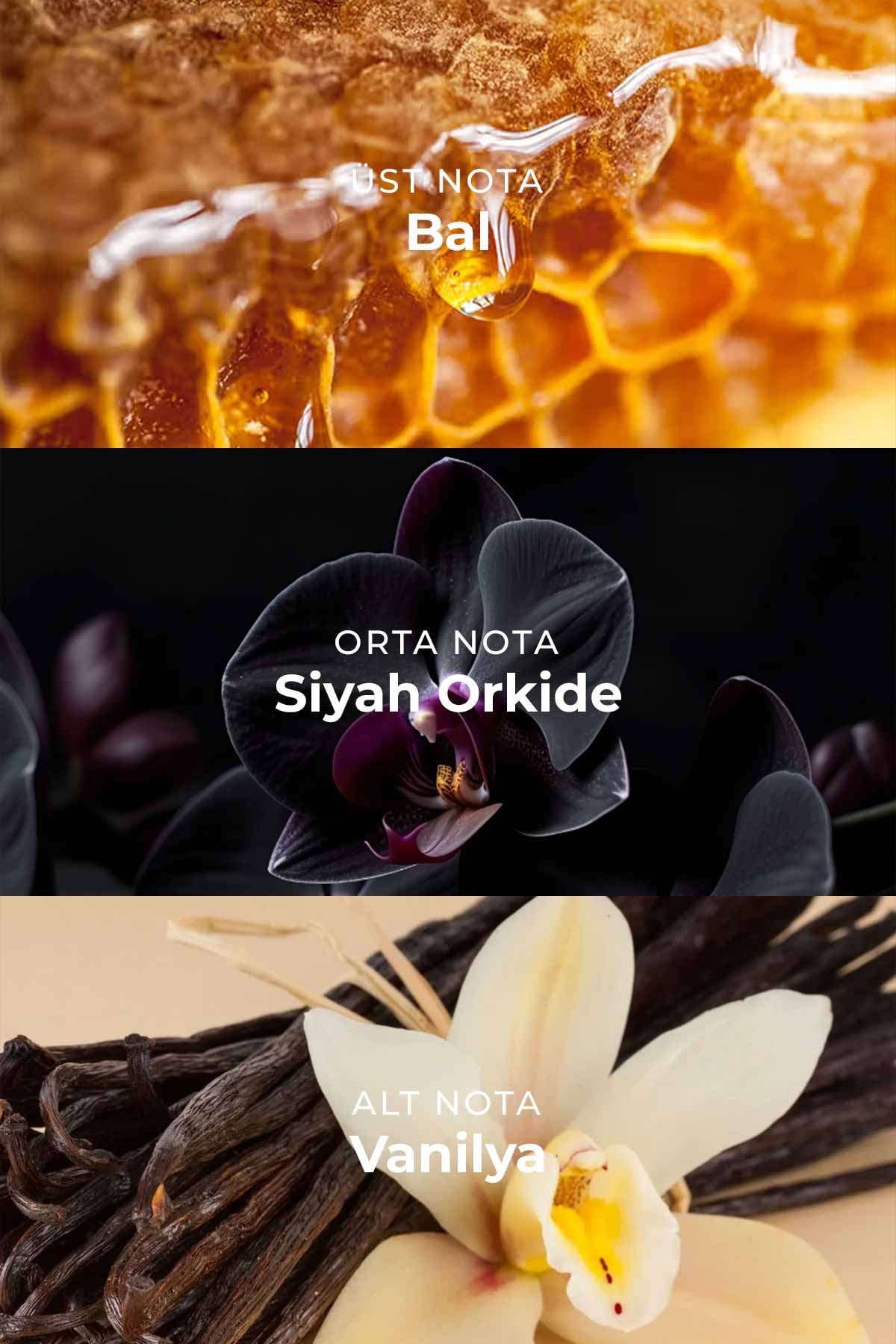 W017 Kadın Parfüm EDP 50ml | Oryantal & Yoğun | Rom, Bal, Mandalina, Siyah Orkide, Yasemin, Vanilya, Sandal Ağacı