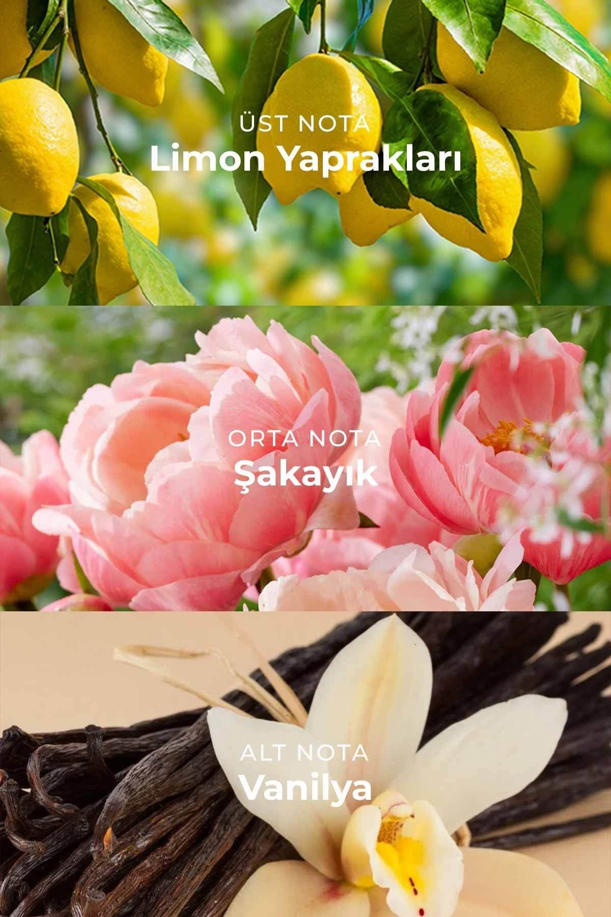 W018 Kadın Parfüm EDP 50ml | Çiçeksi & Ferah | Limon Yaprağı, Leylak, Şakayık, Şeftali Çiçeği, Misk, Amber