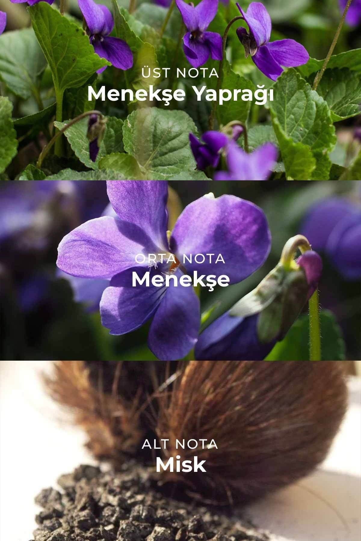 W021 Kadın Parfüm EDP 50ml | Meyvemsi & Çiçeksi | Çilek, Menekşe Yaprağı, Yasemin, Gardenya, Vanilya, Misk