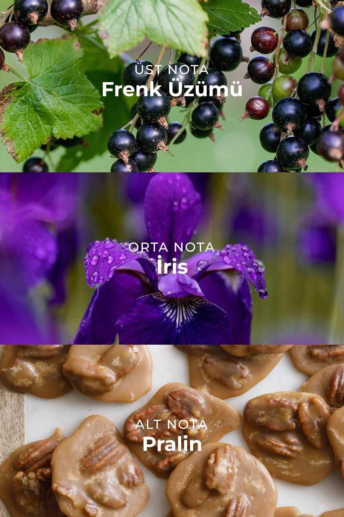 W022 Kadın Parfüm EDP 50ml | Meyvemsi & Çiçeksi | Çilek, Menekşe Yaprağı, Yasemin, Gardenya, Vanilya, Misk