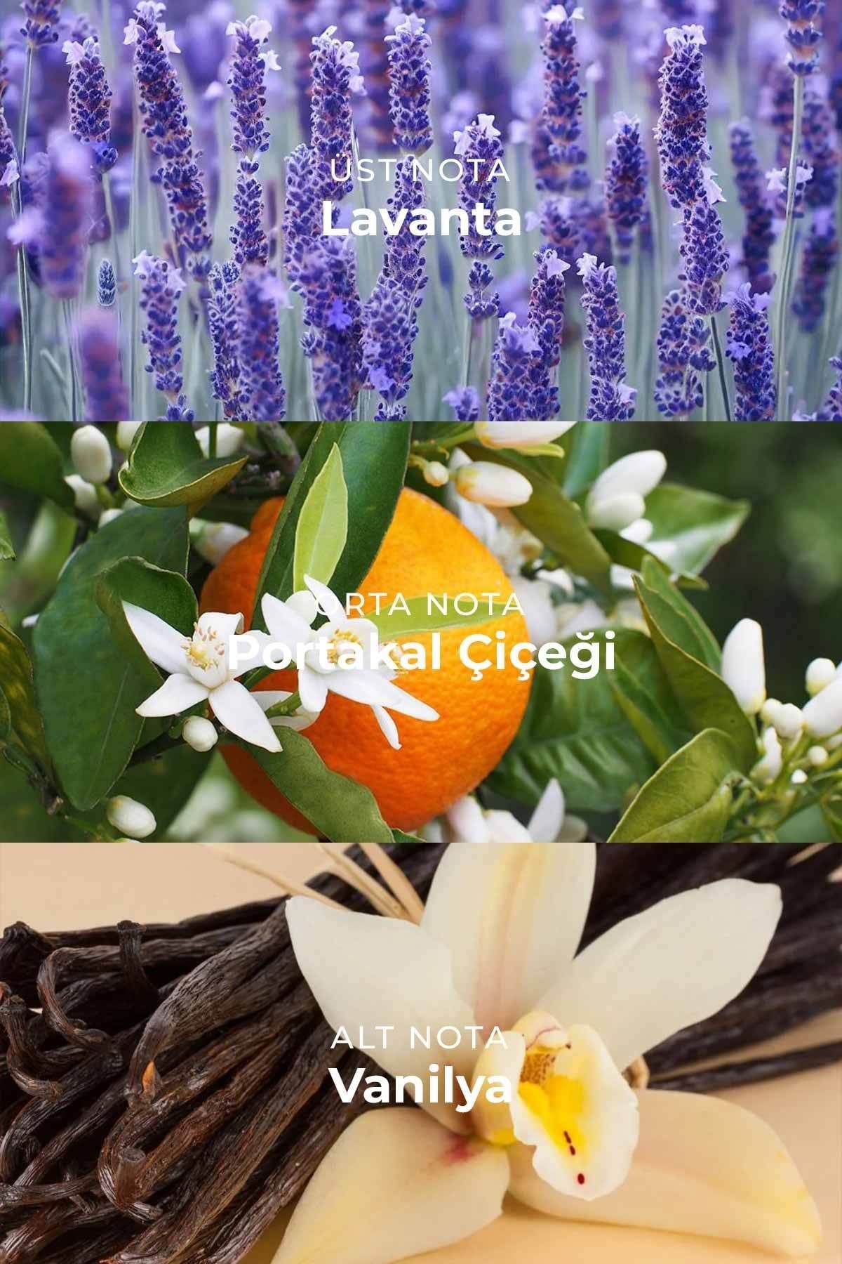 W023 Kadın Parfüm EDP 50ml | Aromatik & Çiçeksi | Lavanta, Mandalina, Portakal Çiçeği, Yasemin, Vanilya, Amber