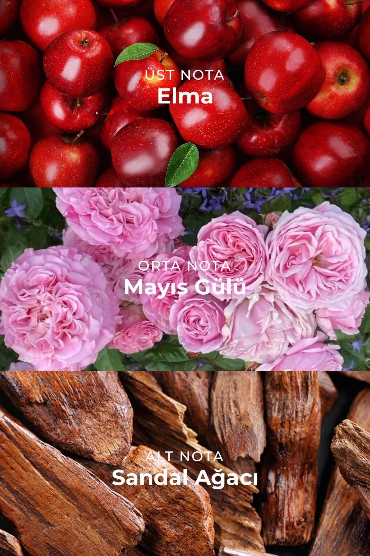 W030 Kadın Parfüm EDP 50 ml | Meyvemsi & Çiçeksi | Elma, Mayıs Gülü, Sandal Ağacı