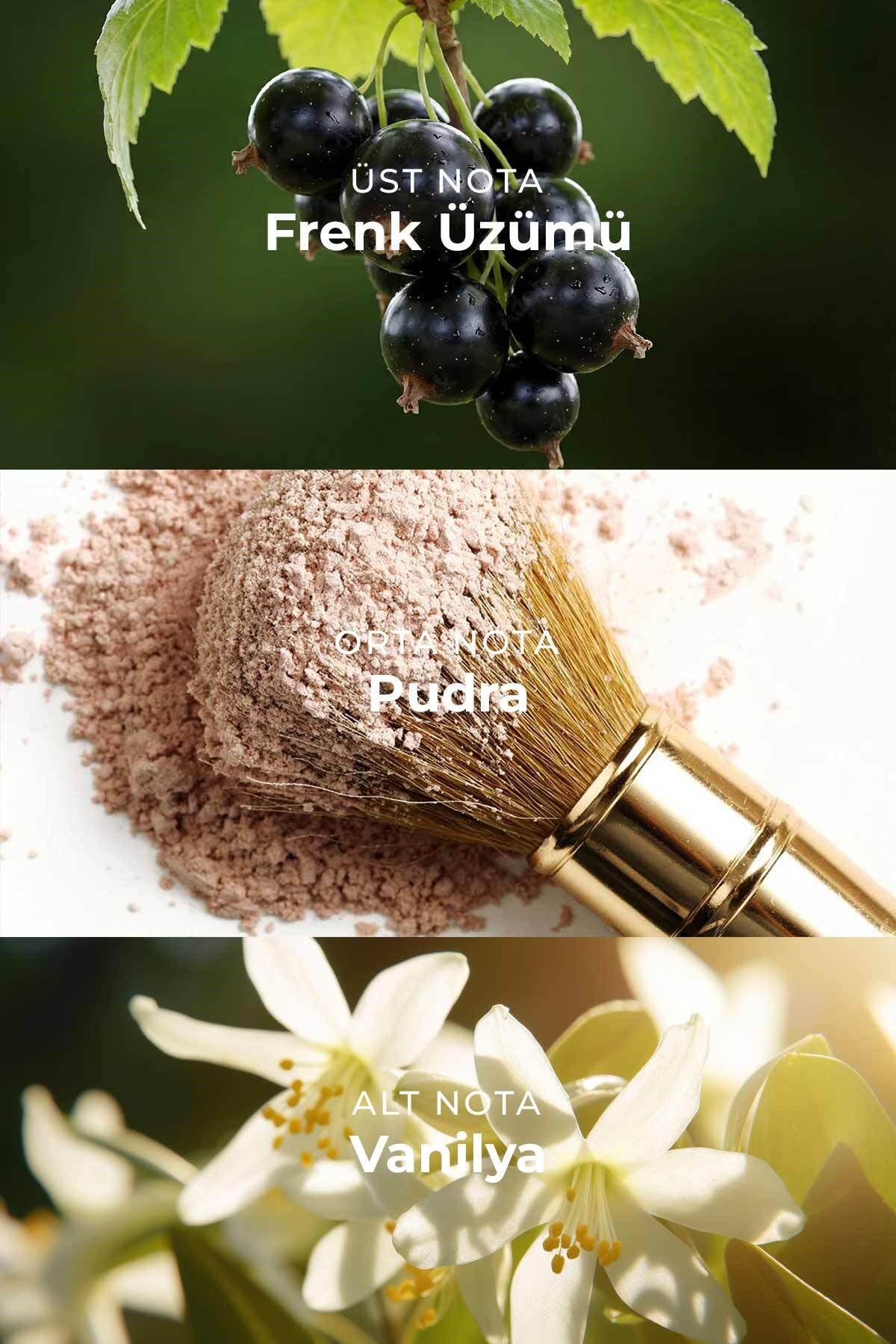 W031 Kadın Parfüm EDP 50 ml | Meyvemsi & Vanilyalı | Siyah Frenk Üzümü, Rom, Vanilya